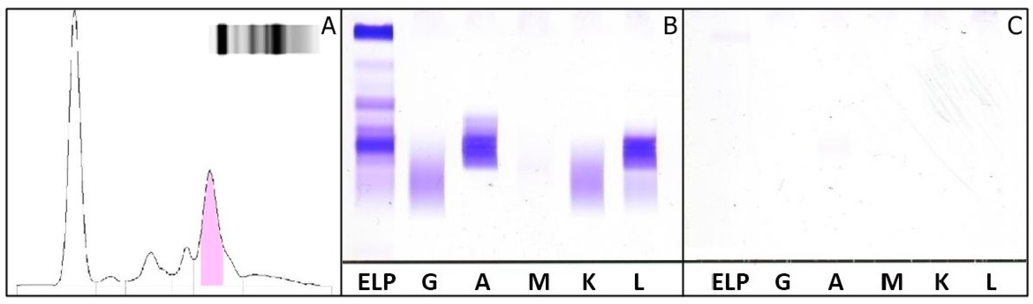 Ijms 18 00804 g004 550