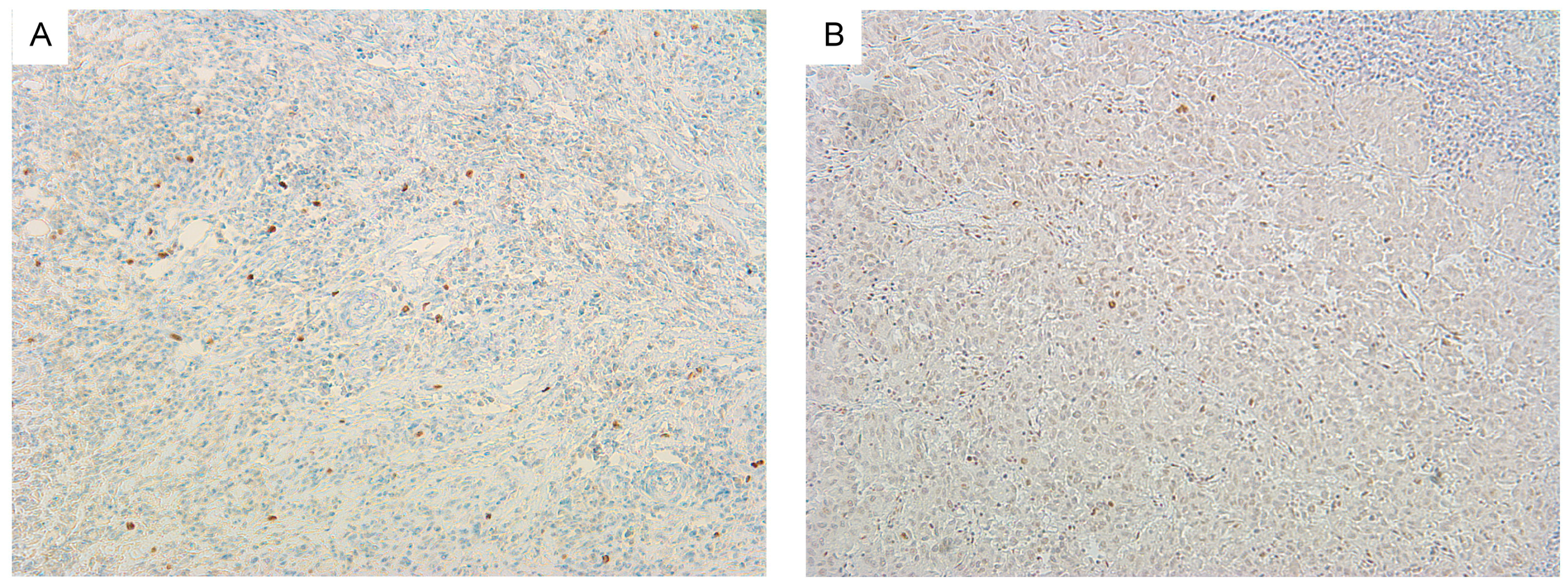 Ijms 18 00821 g002 550