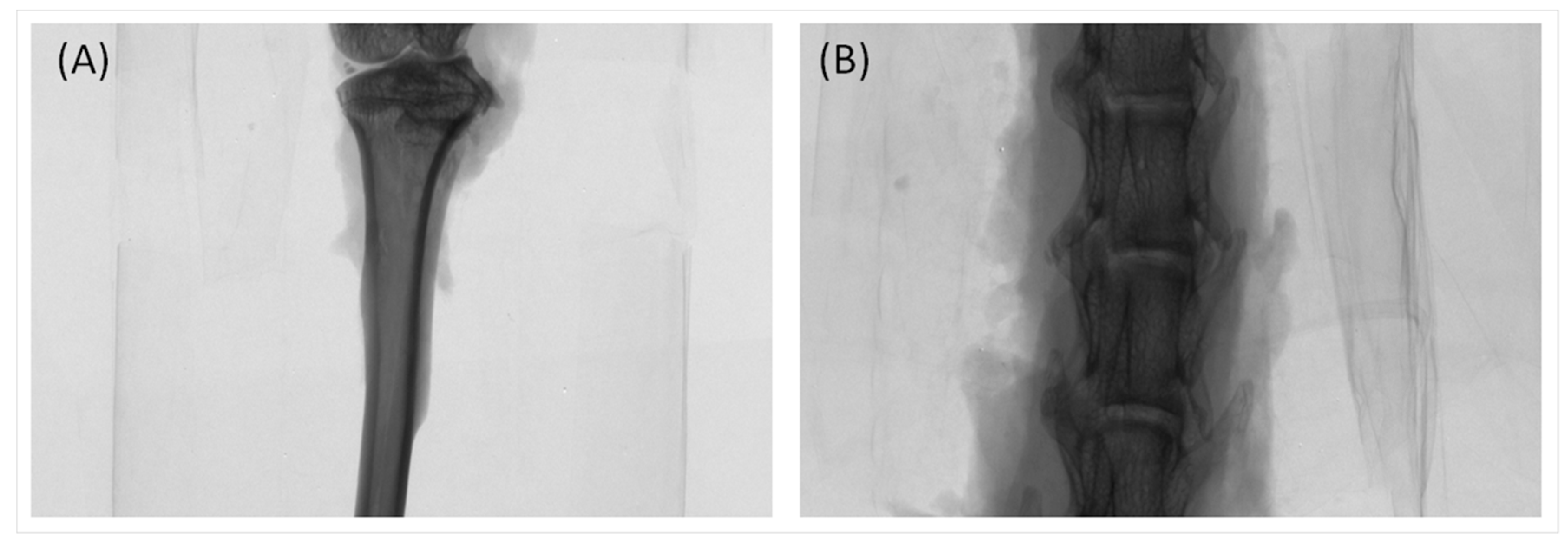 Ijms 18 00822 g007 550