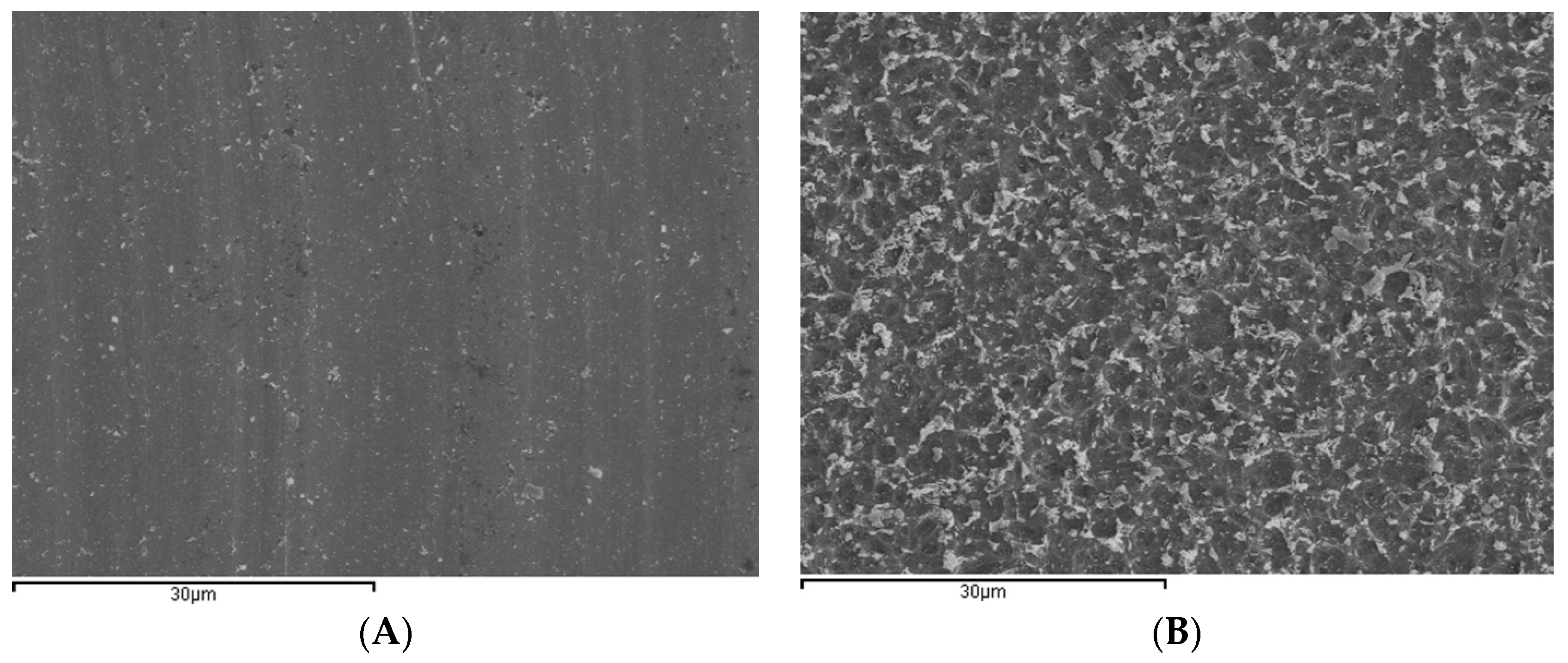 Ijms 18 00823 g002 550