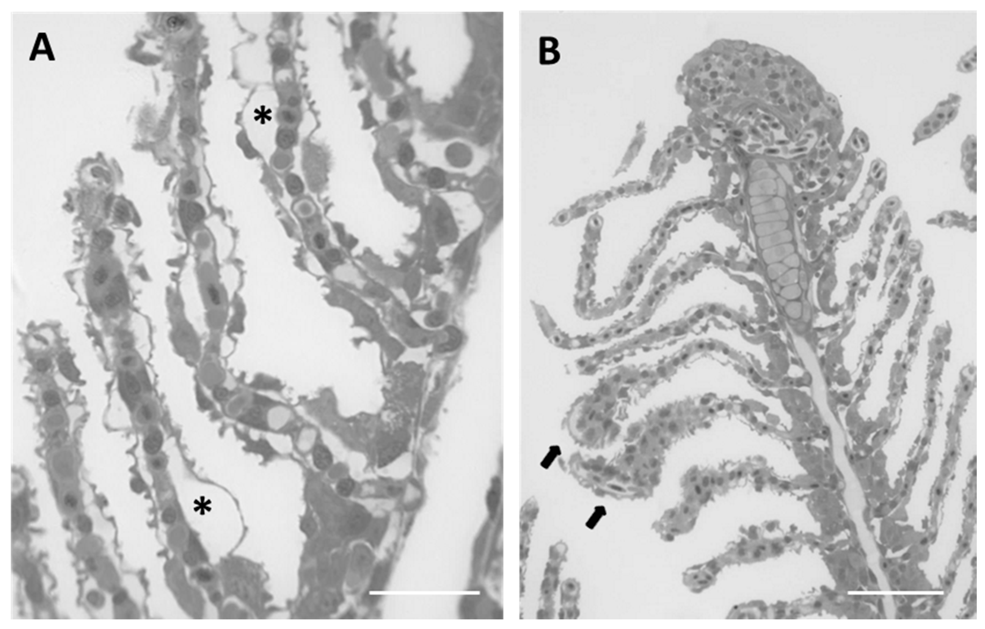 Ijms 18 00824 g004