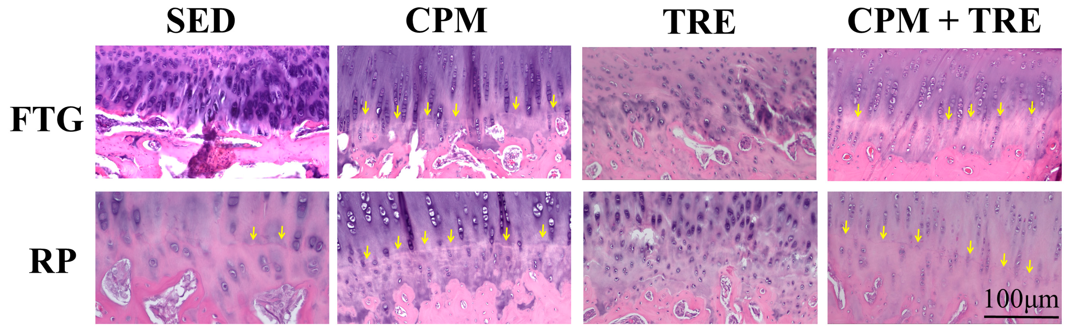 Ijms 18 00829 g002 550
