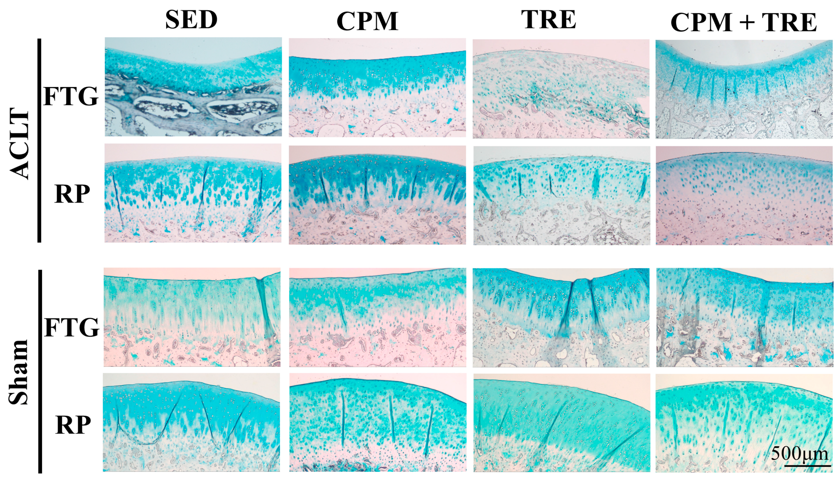 Ijms 18 00829 g004 550