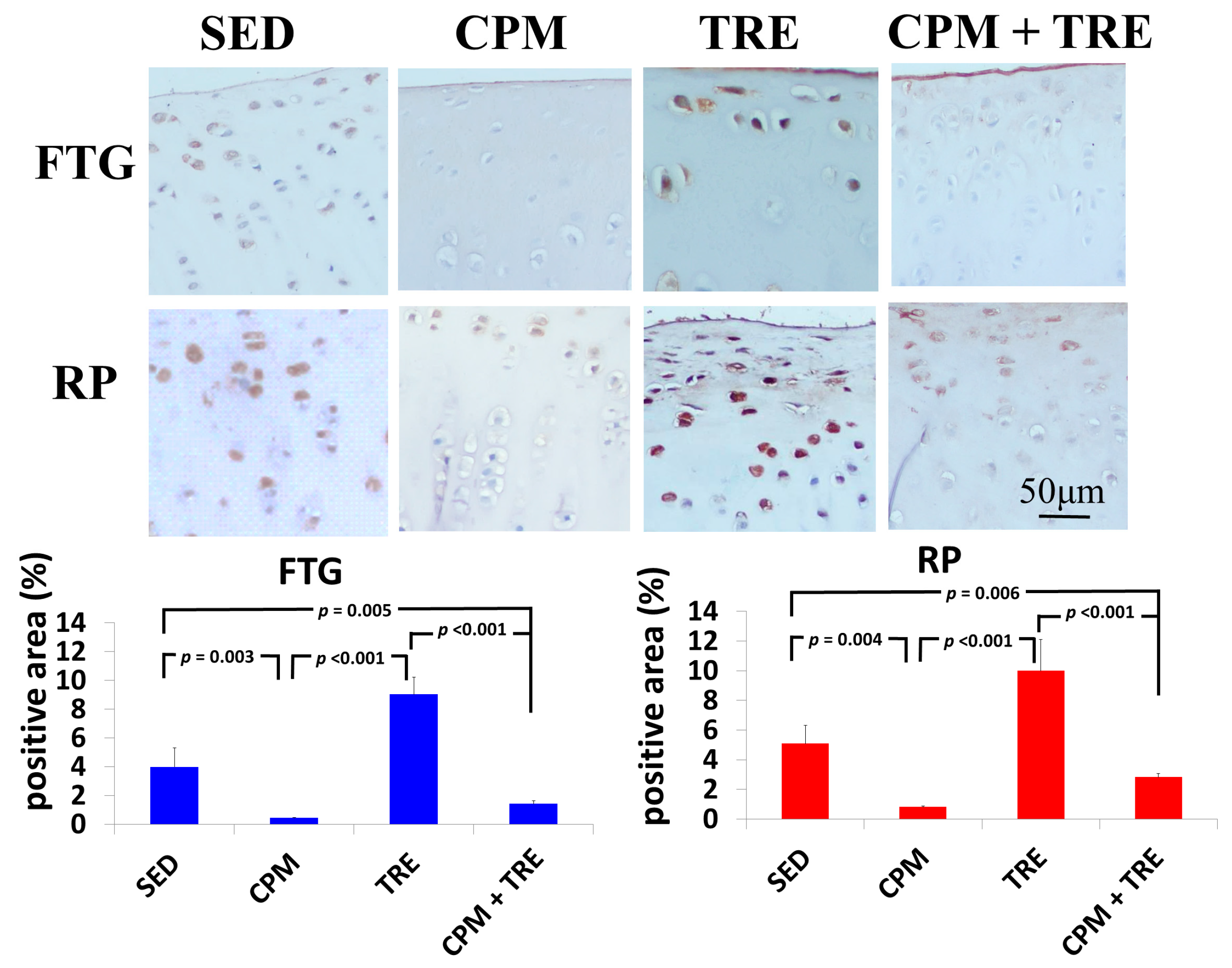 Ijms 18 00829 g006 550