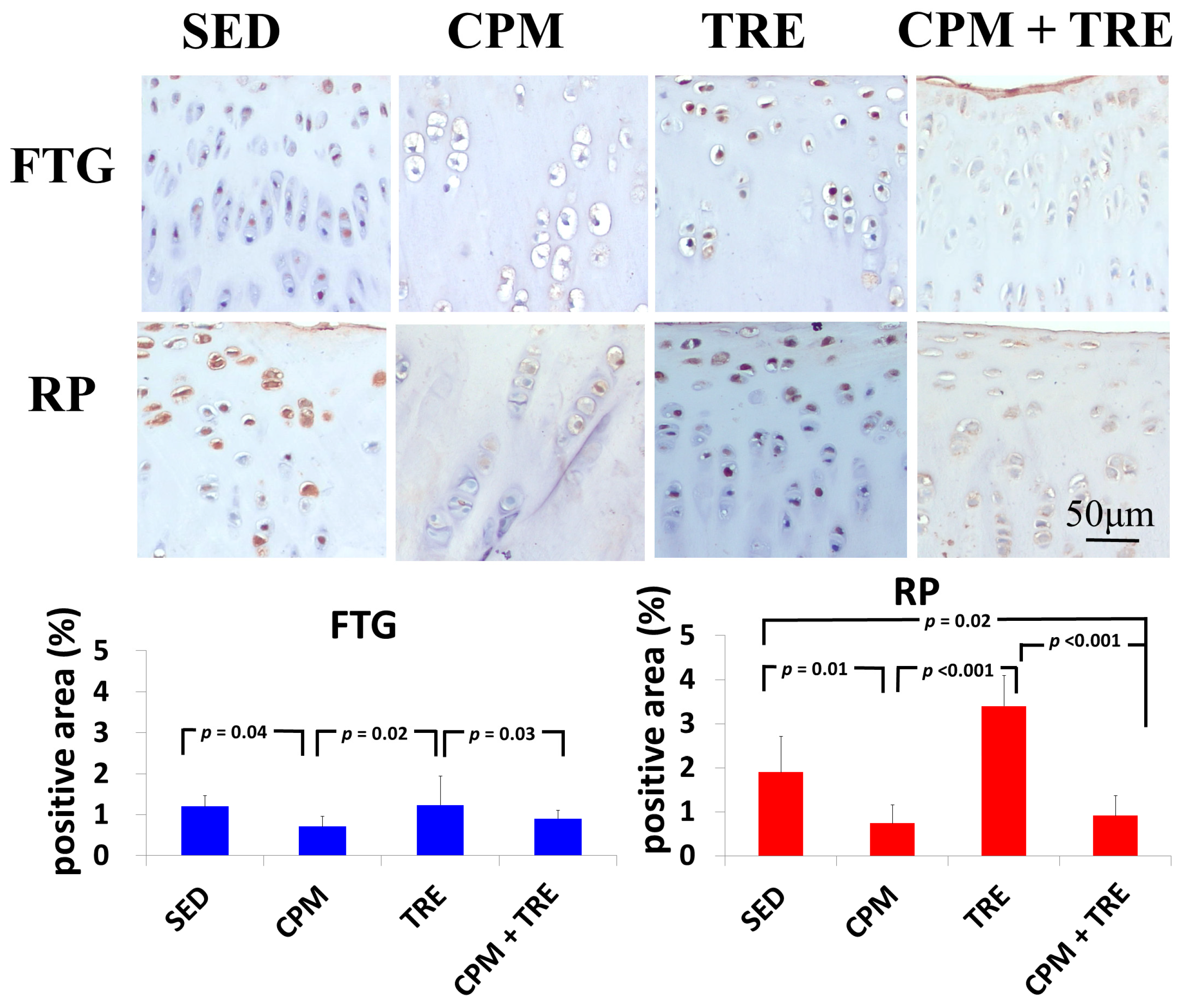 Ijms 18 00829 g007 550