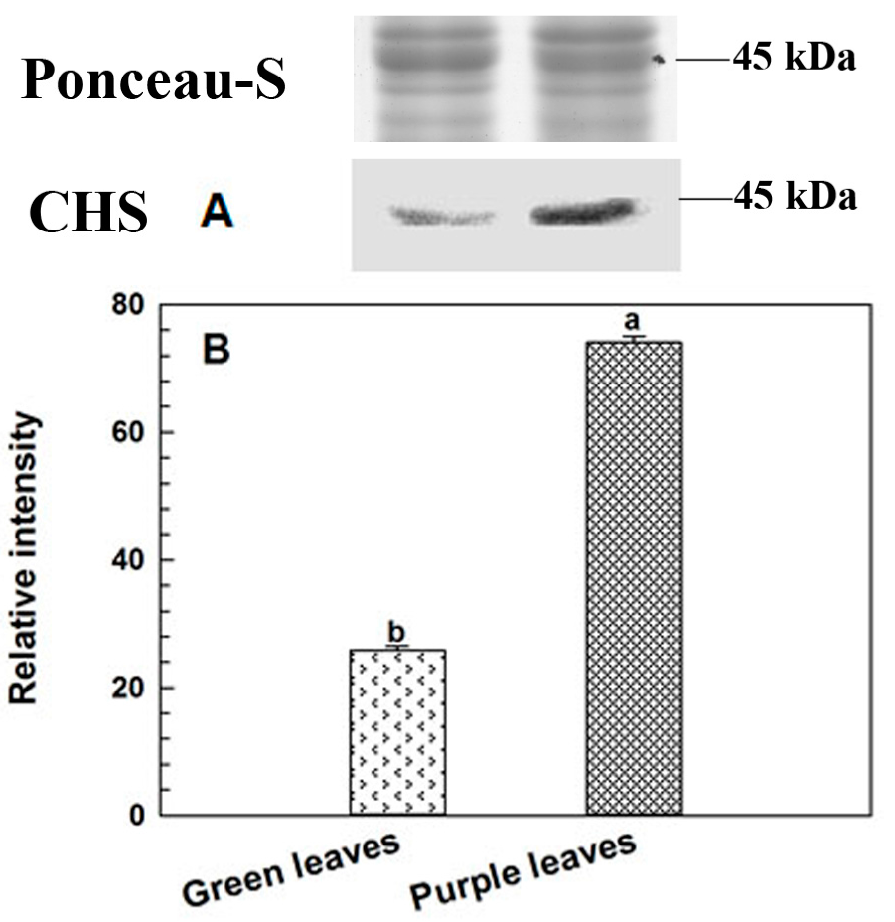 Ijms 18 00833 g004 550