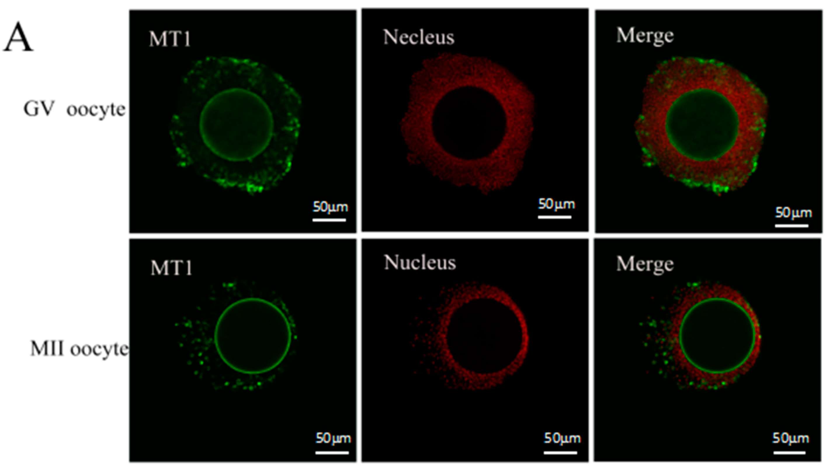Ijms 18 00834 g001a 550