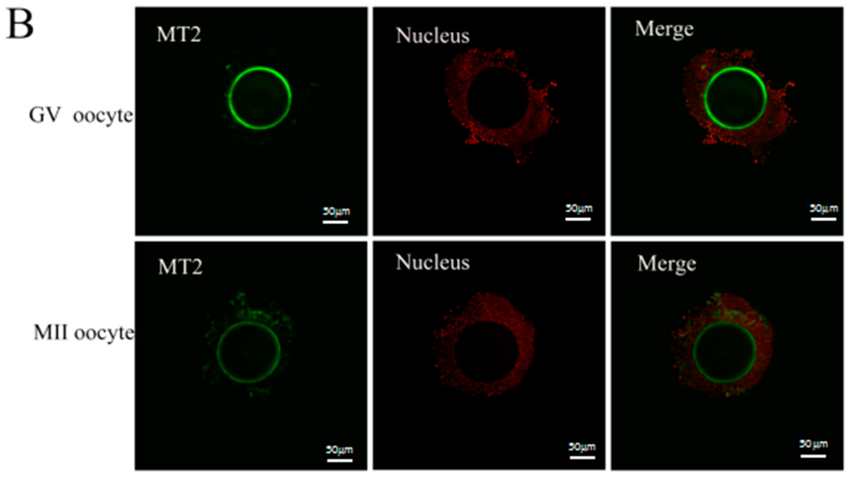 Ijms 18 00834 g001b 550