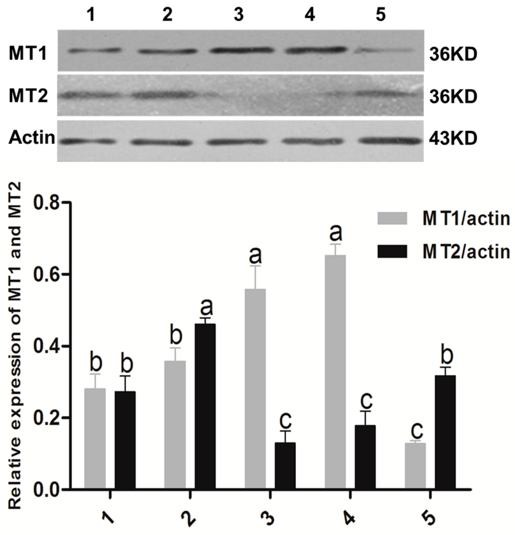 Ijms 18 00834 g002 550