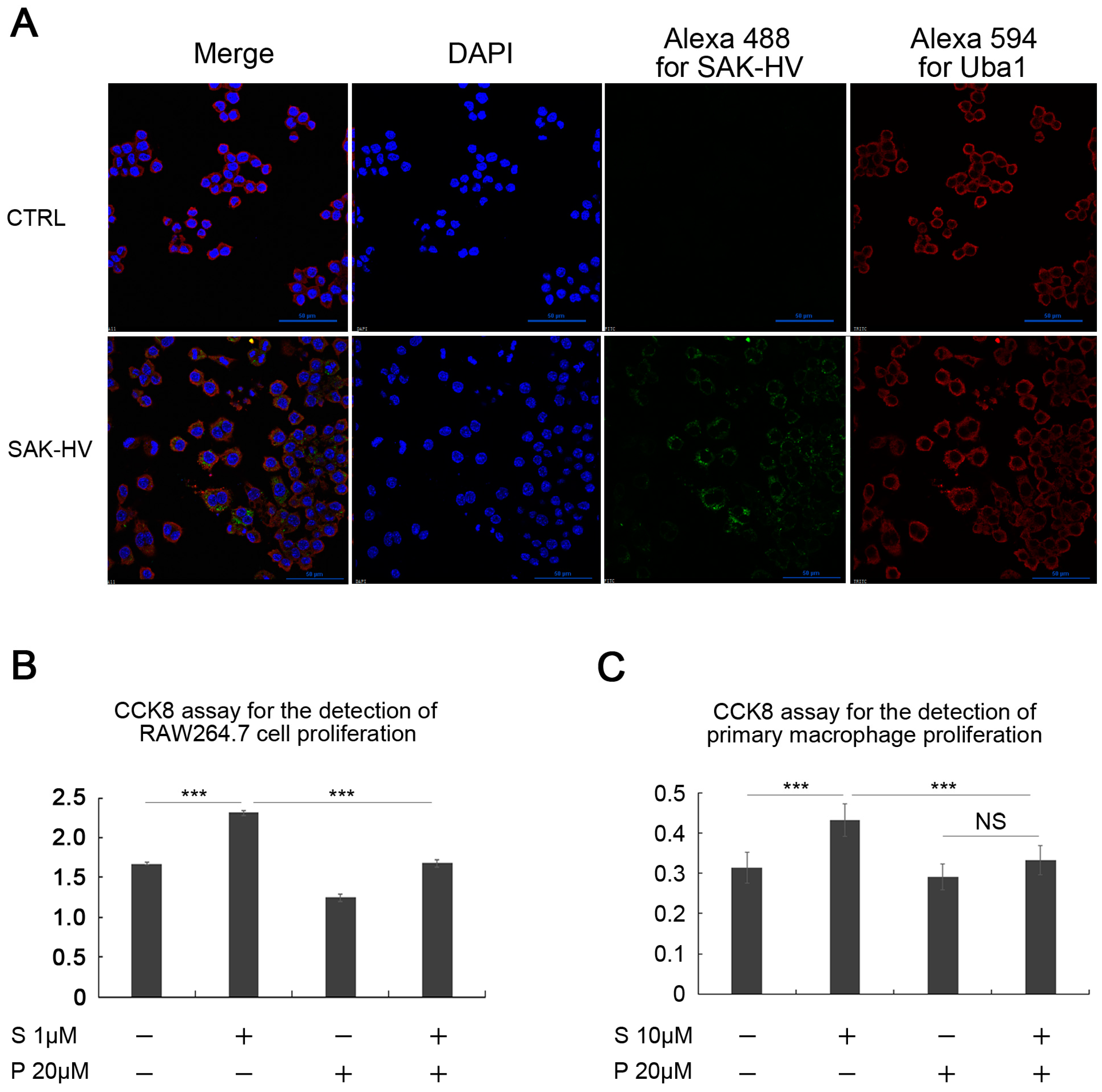 Ijms 18 00835 g010 550