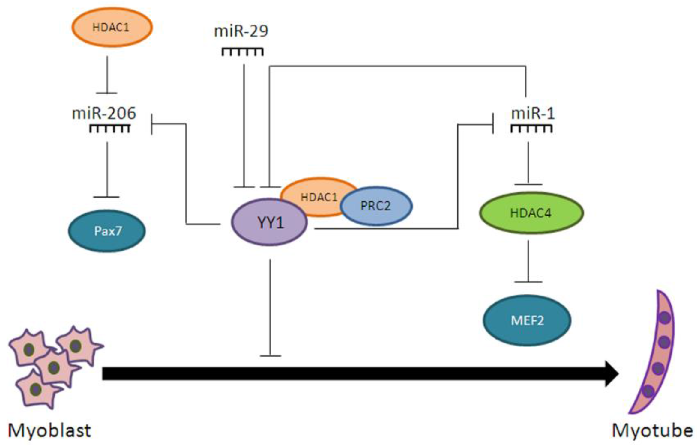 Ijms 18 00840 g002