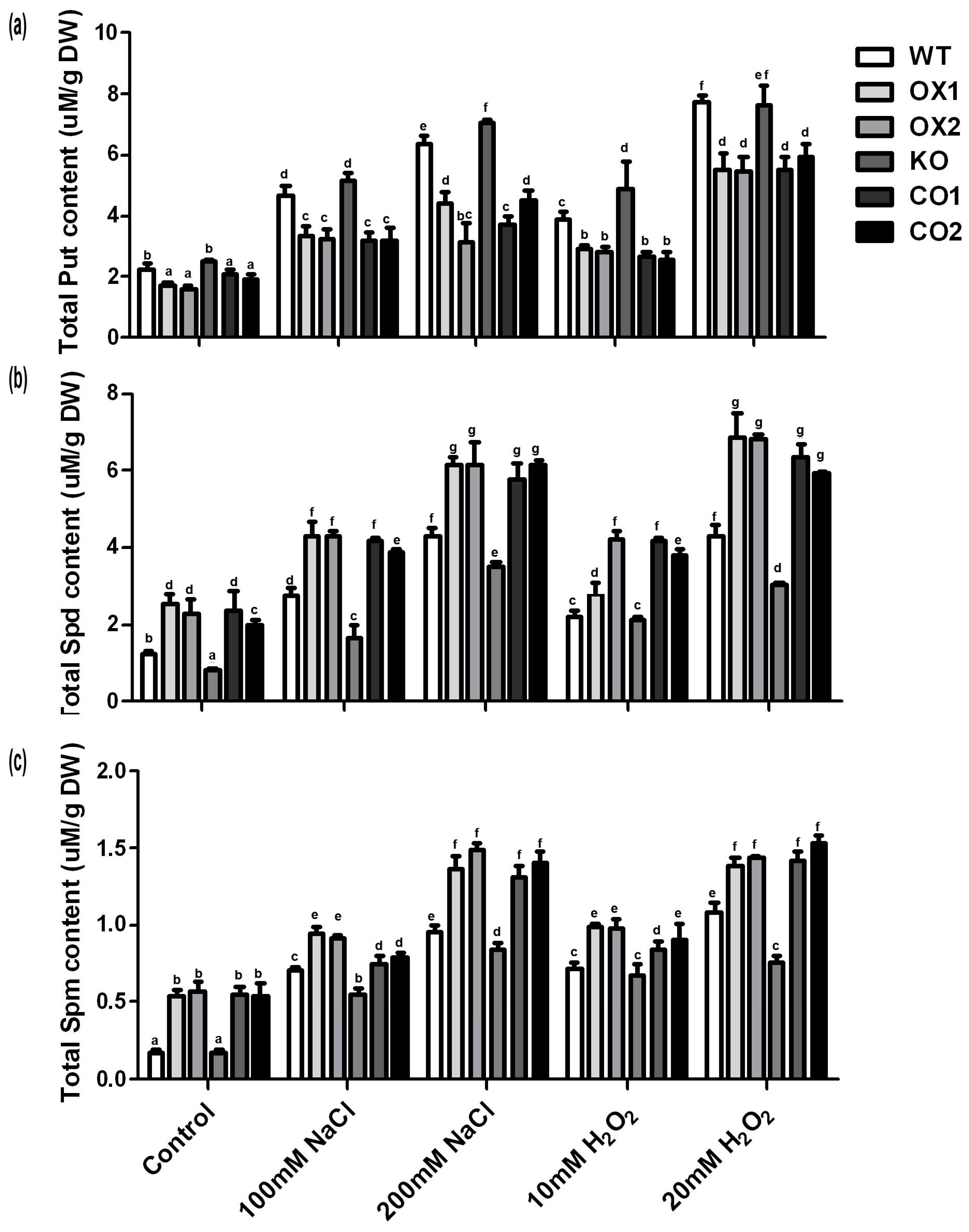 Ijms 18 00847 g007 550