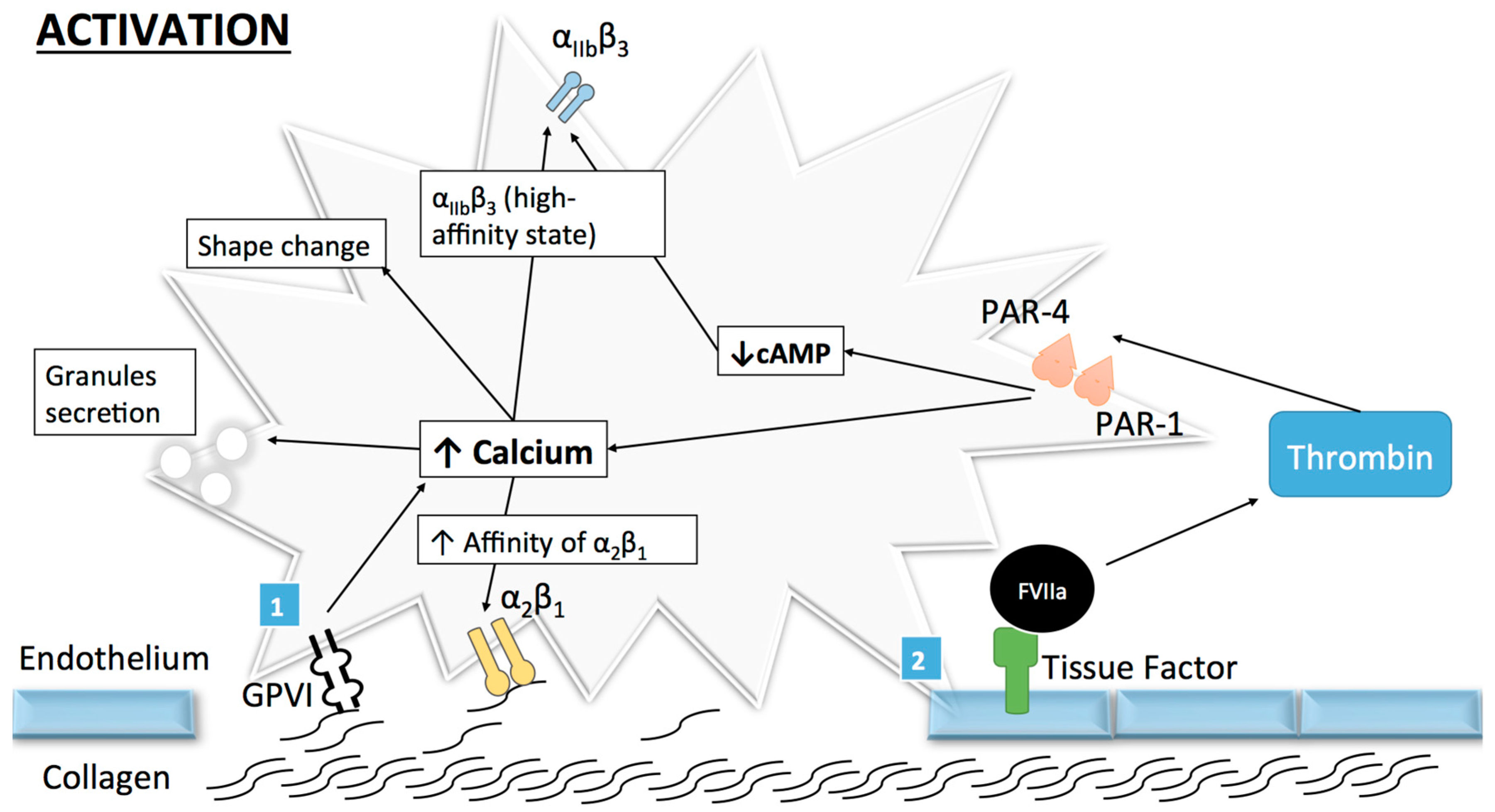 Ijms 18 00850 g002 550