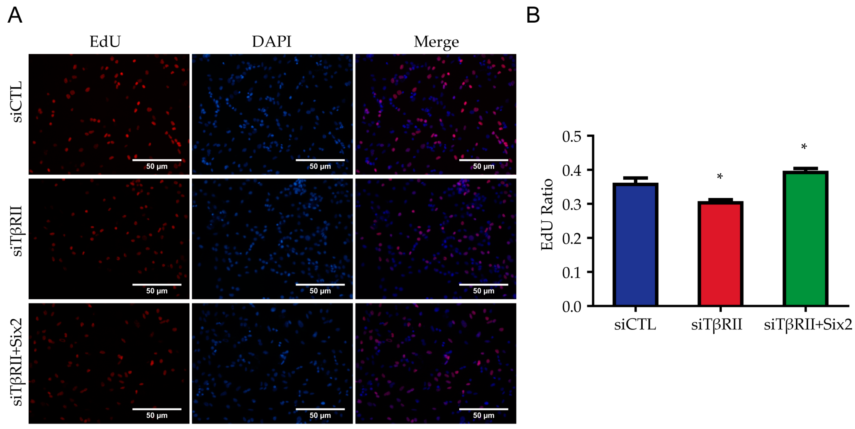 Ijms 18 00853 g003 550