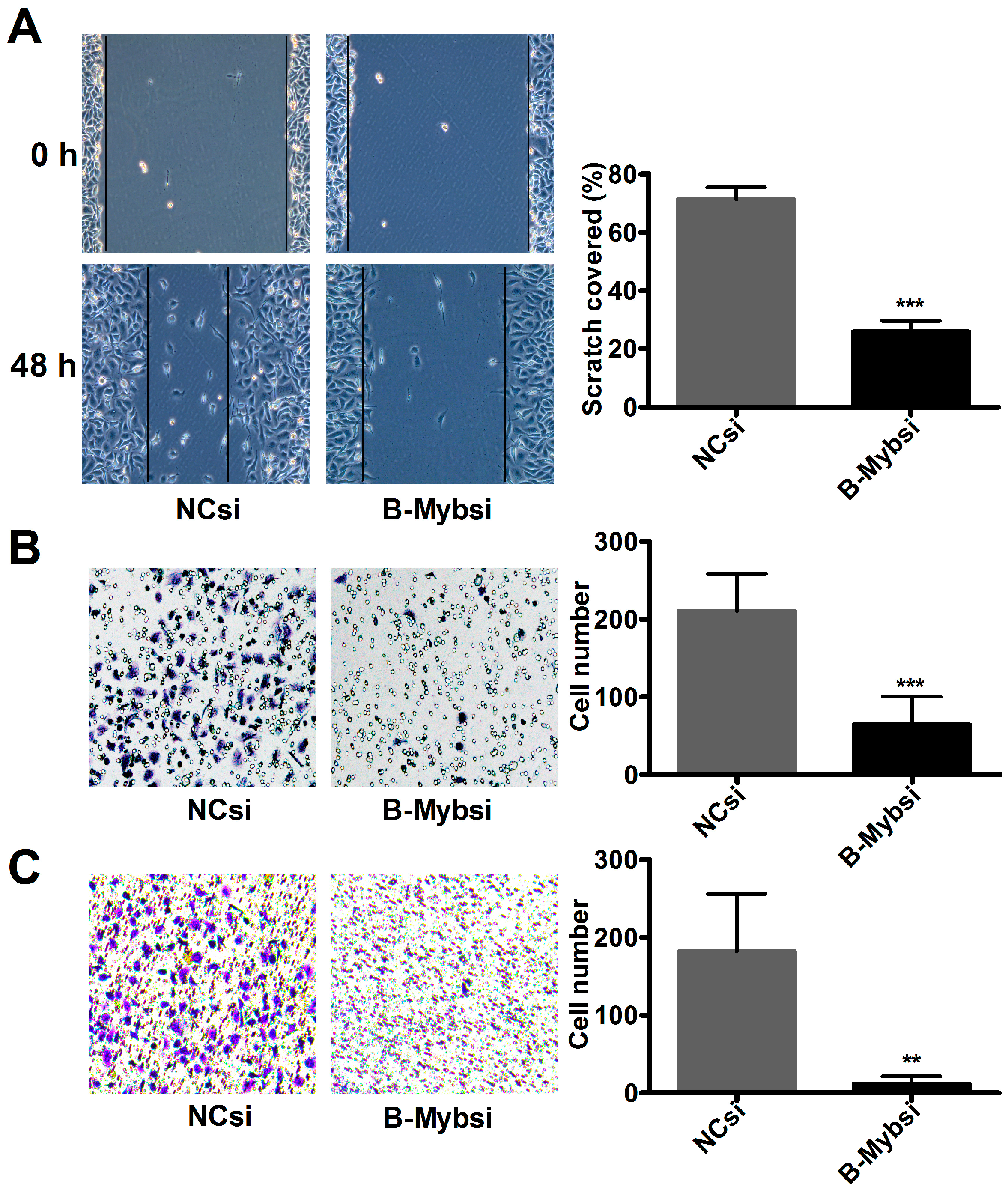 Ijms 18 00860 g005 550