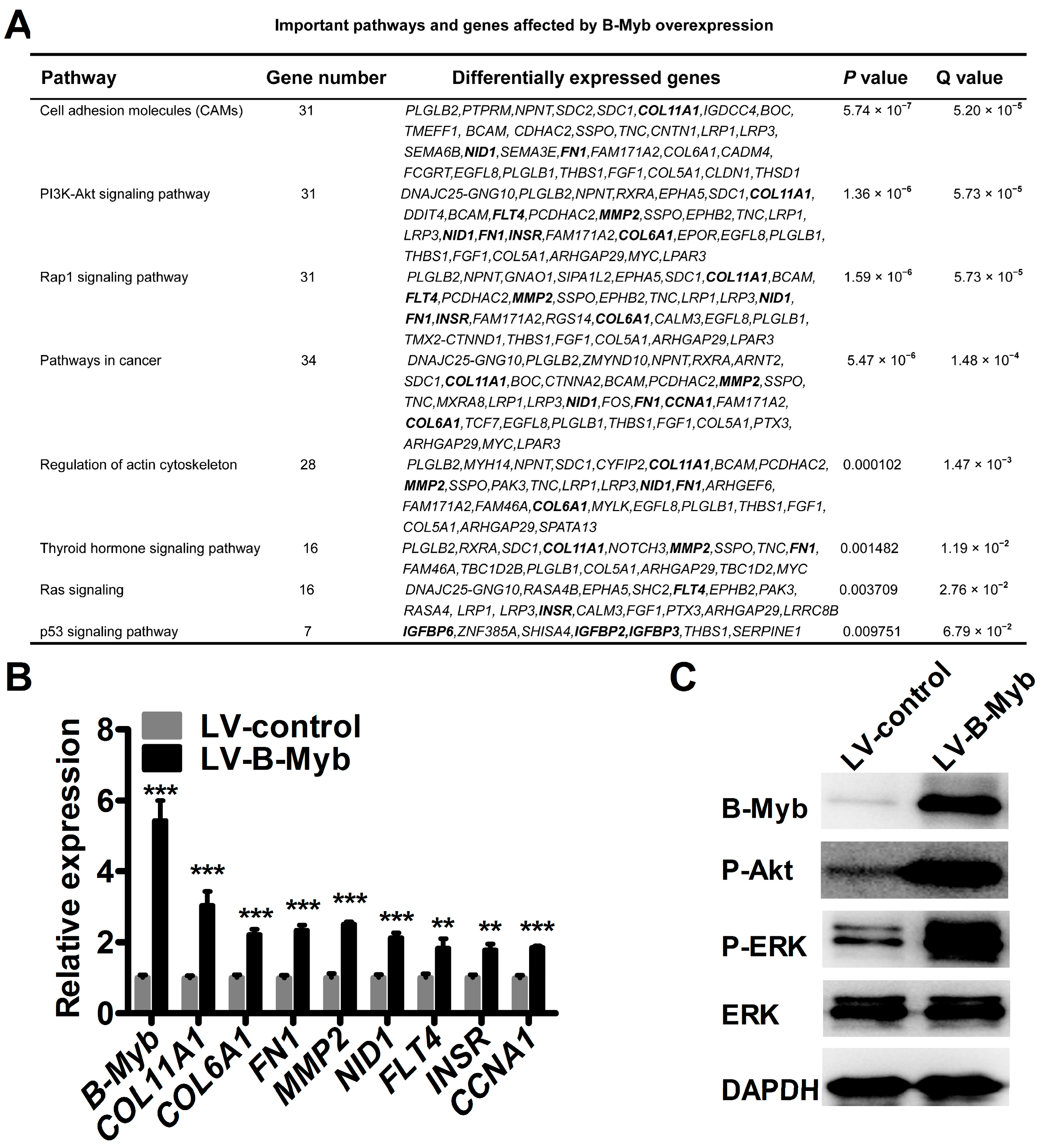 Ijms 18 00860 g007 550