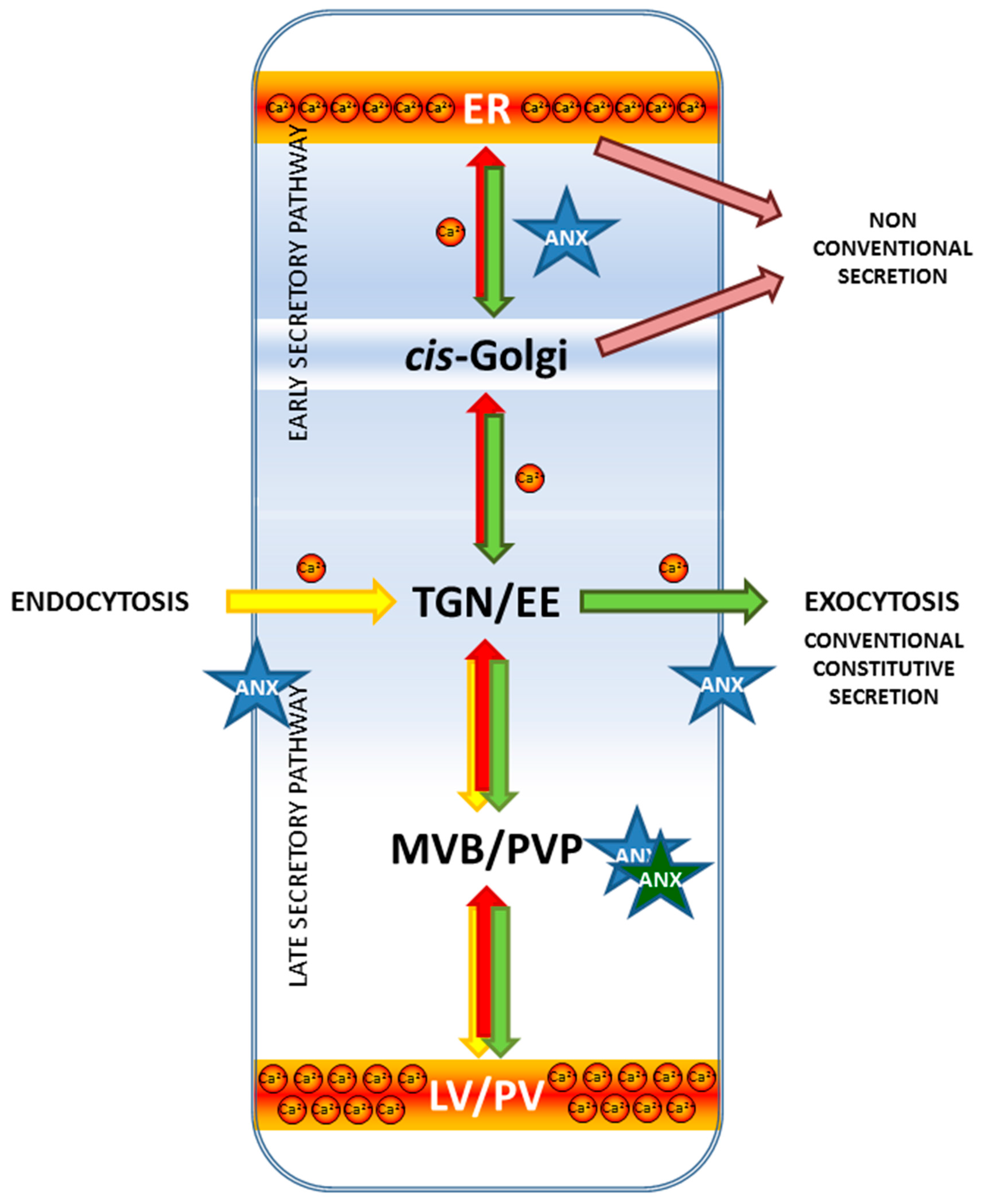 Ijms 18 00863 g003 550