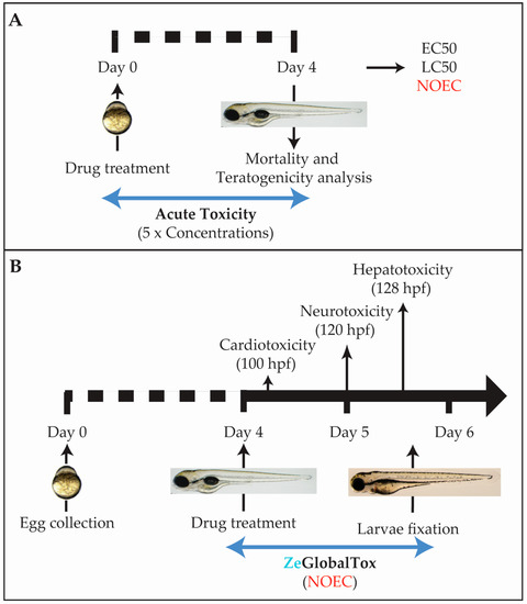 Systems Toxicology Approach for Testing Chemical Cardiotoxicity in Larval  Zebrafish