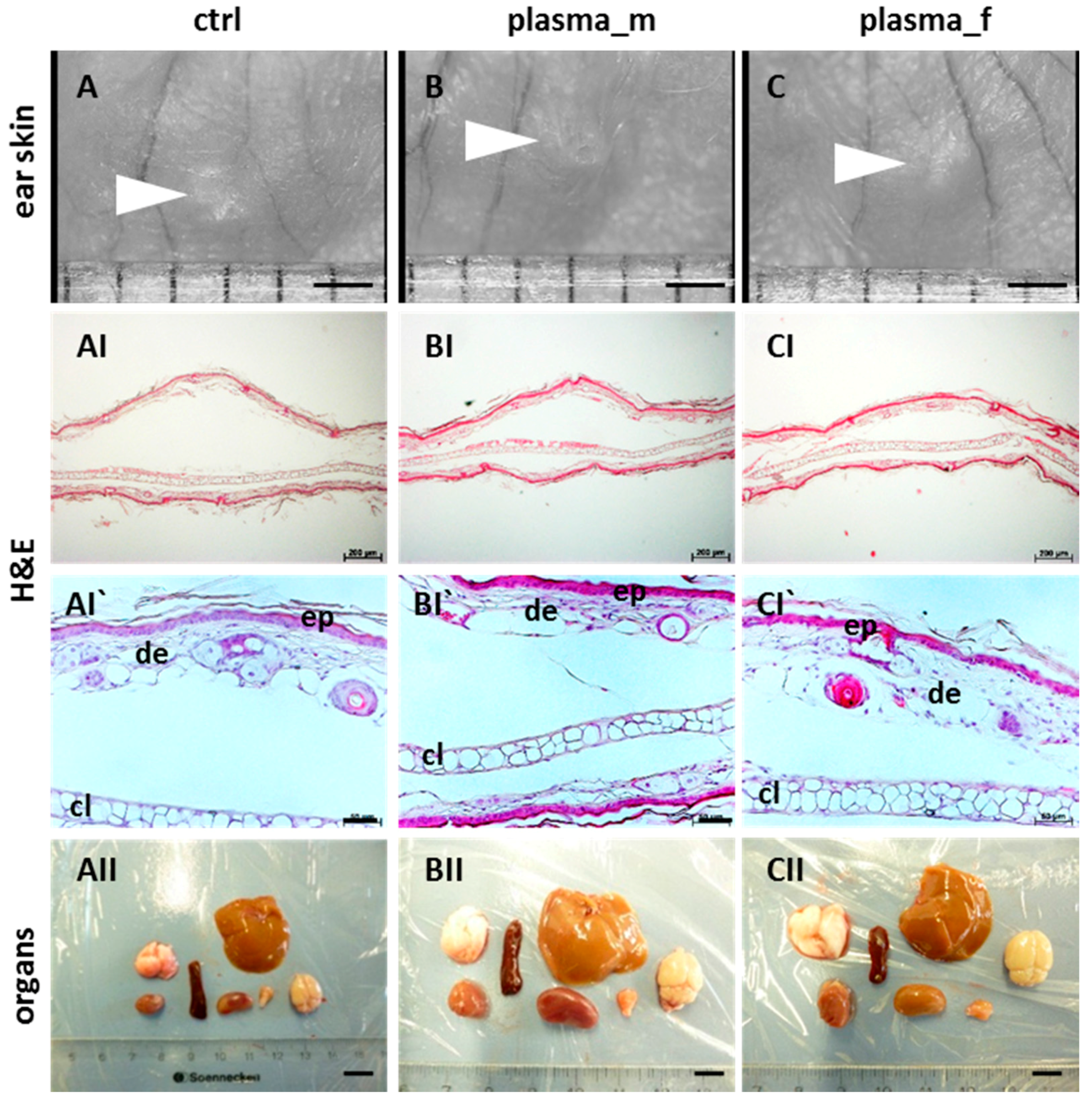 Ijms 18 00868 g001 Ijms 18 00868 g001