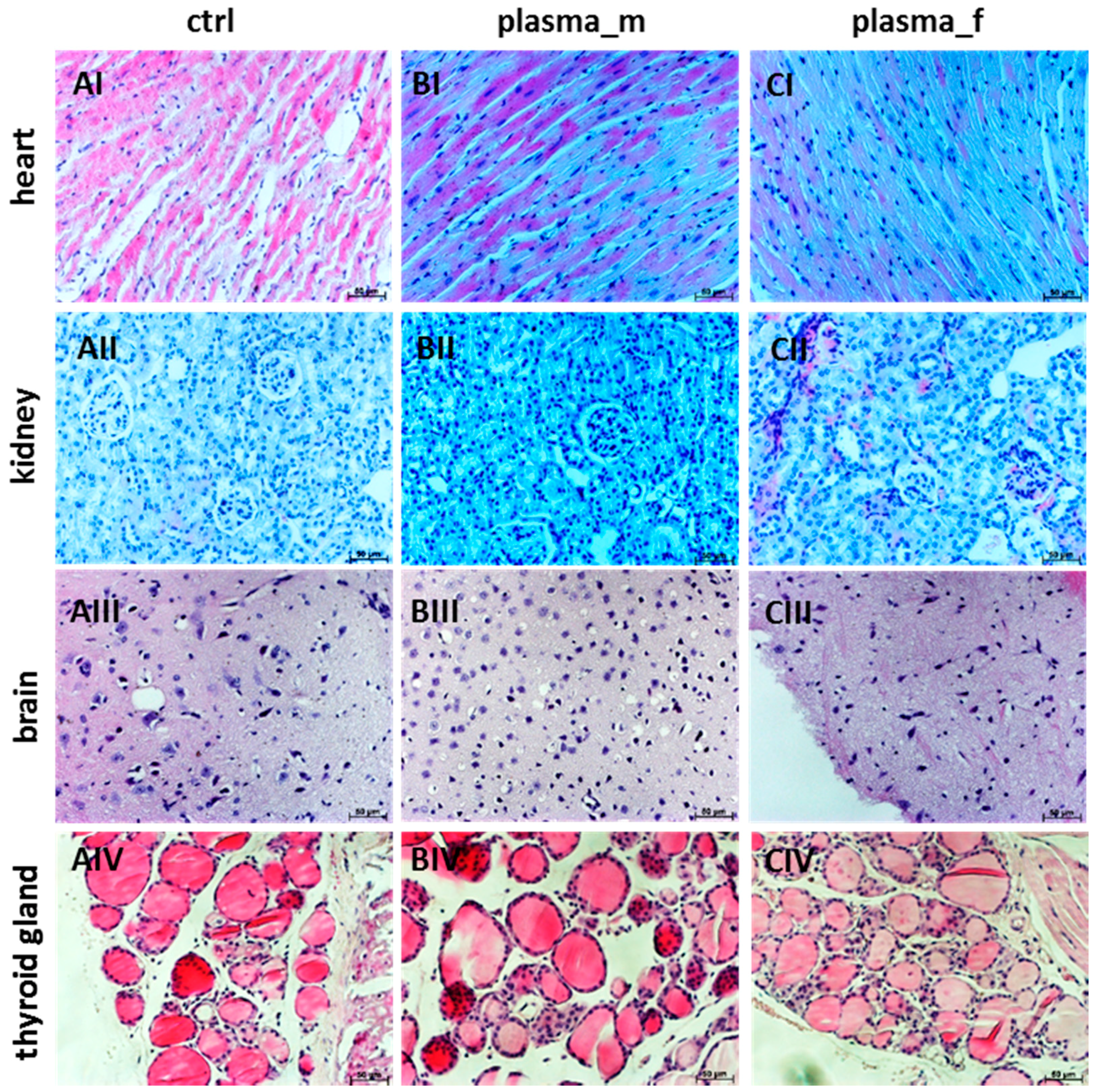 Ijms 18 00868 g002 Ijms 18 00868 g002