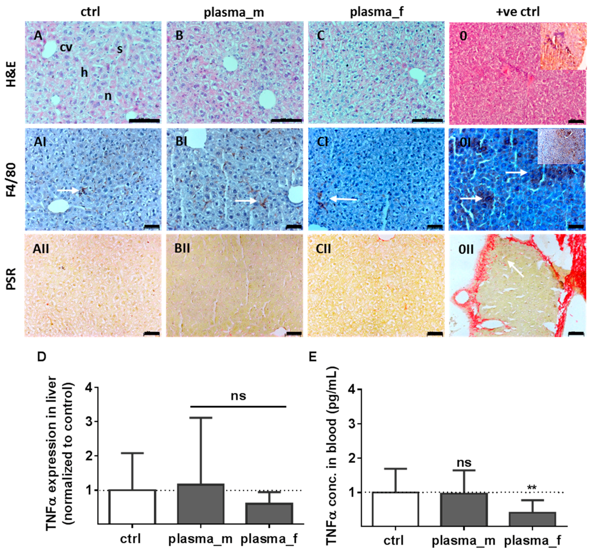 Ijms 18 00868 g003 Ijms 18 00868 g003