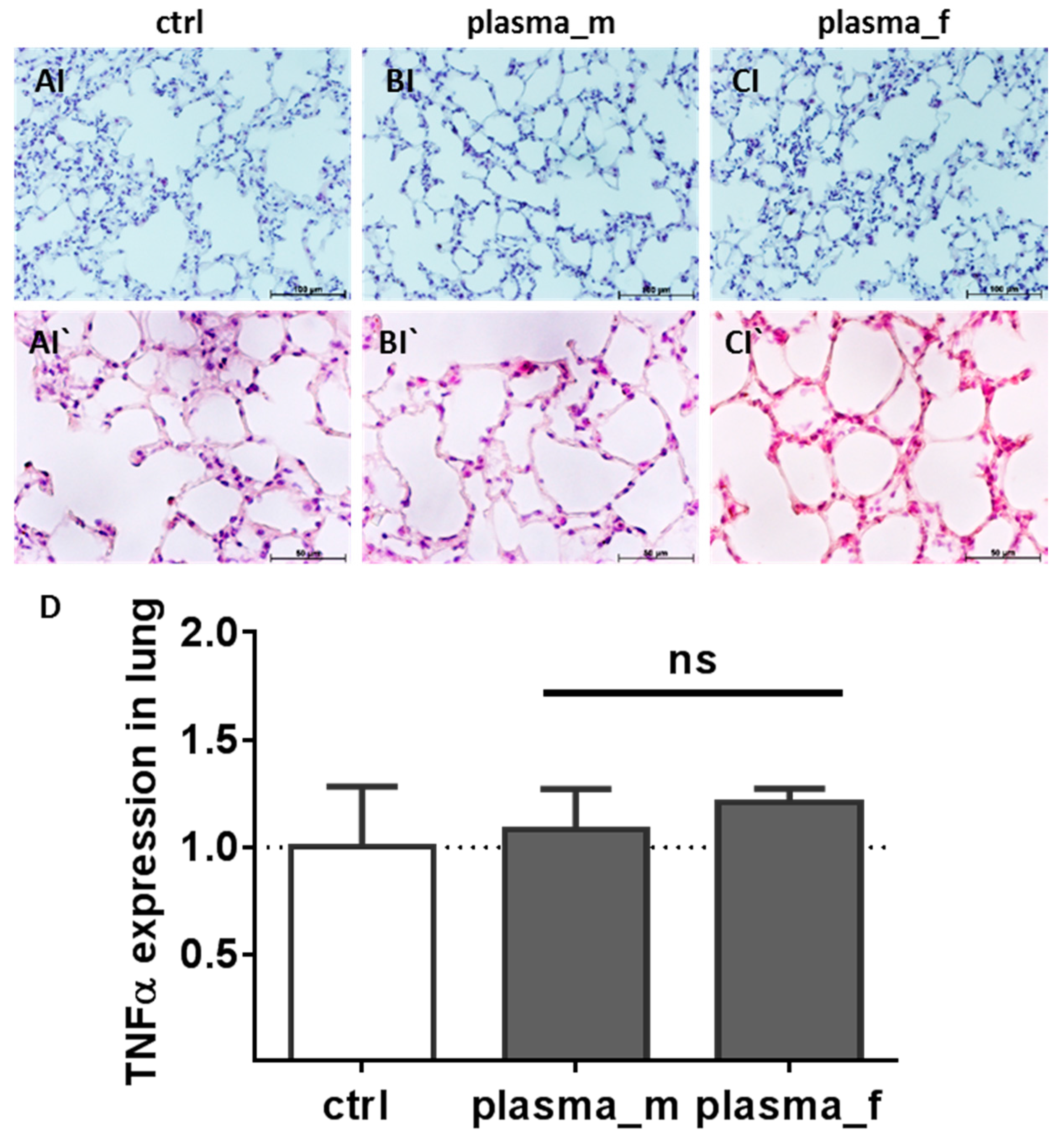 Ijms 18 00868 g004 Ijms 18 00868 g004