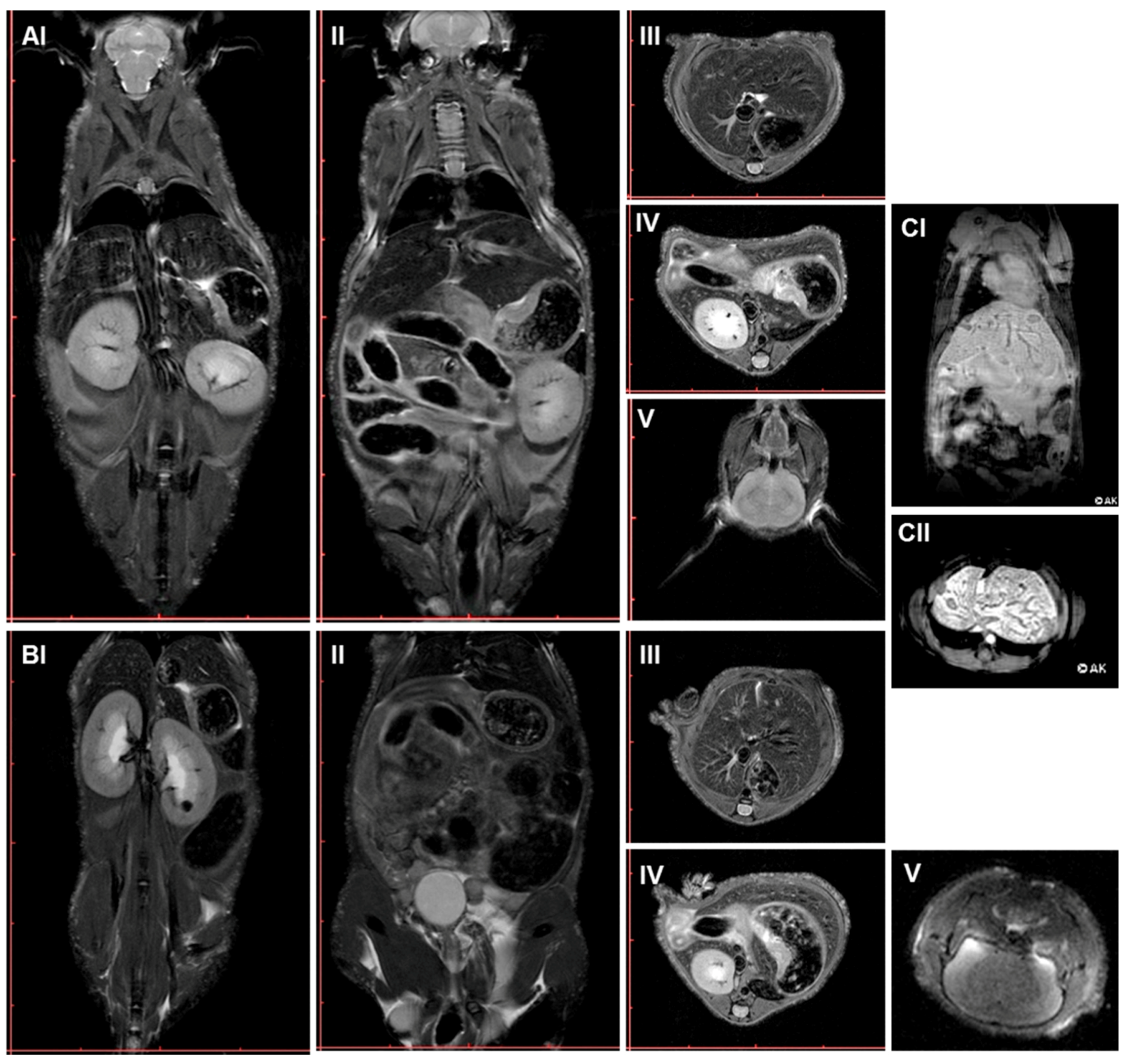 Ijms 18 00868 g009 Ijms 18 00868 g009