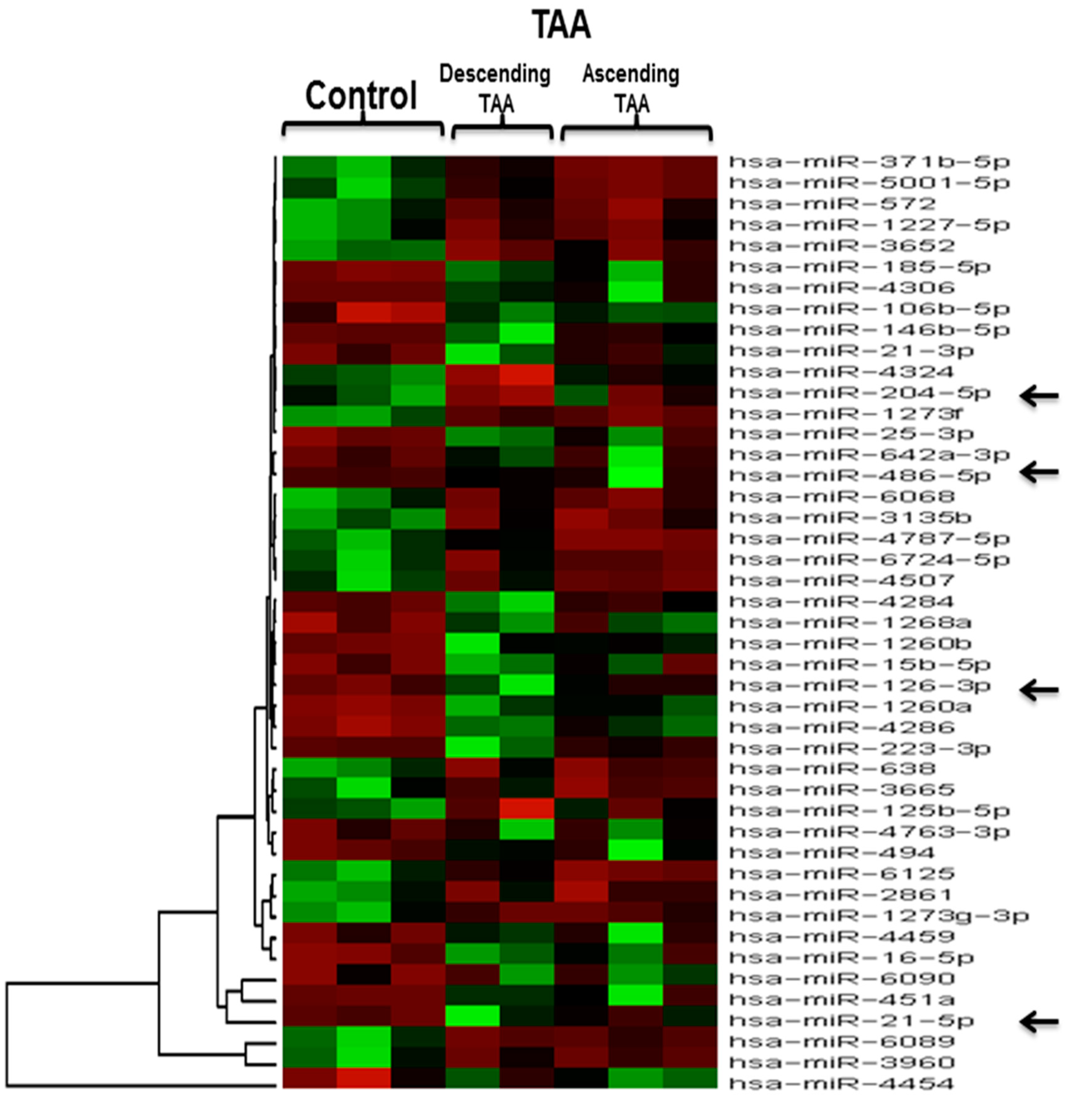 Ijms 18 00875 g004 550