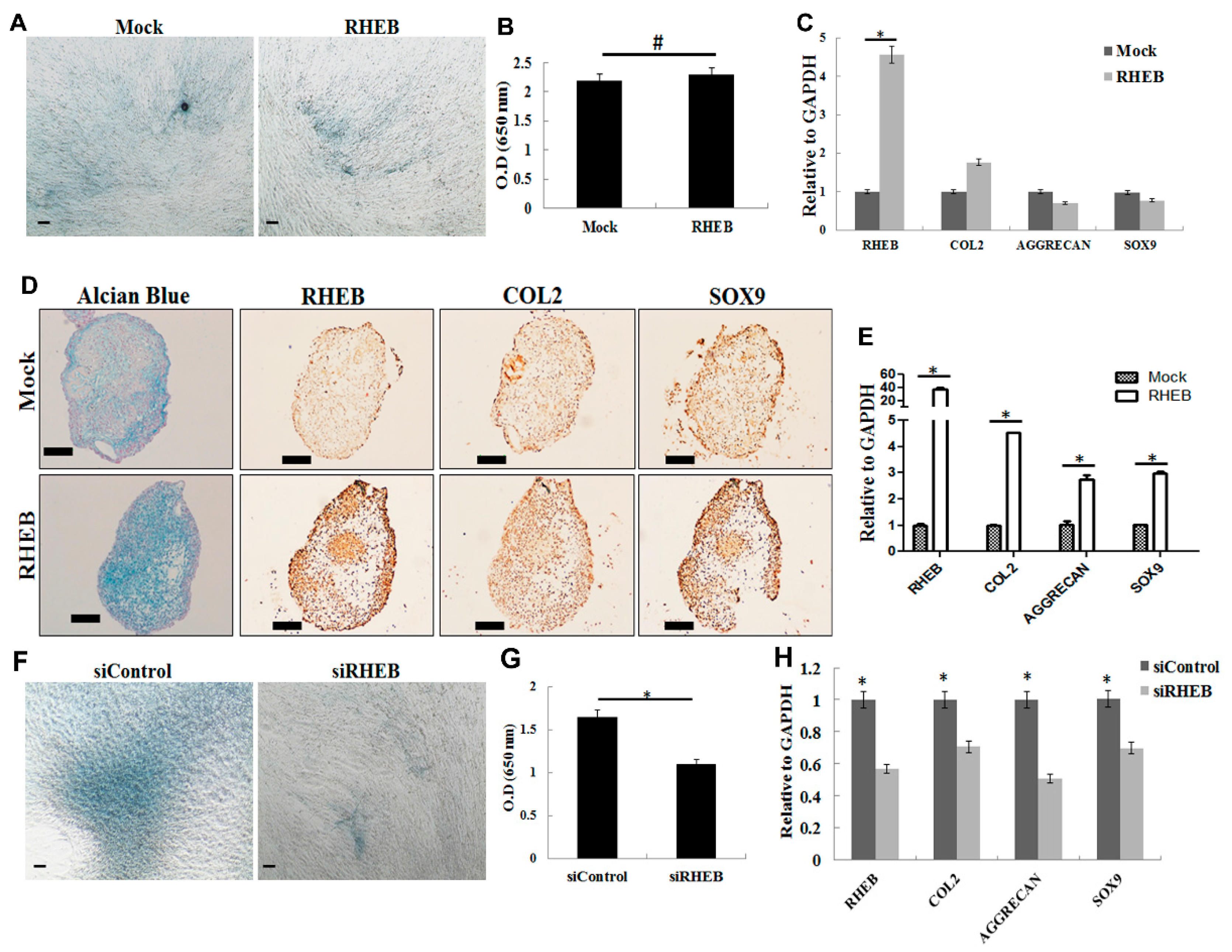Ijms 18 00880 g002 550
