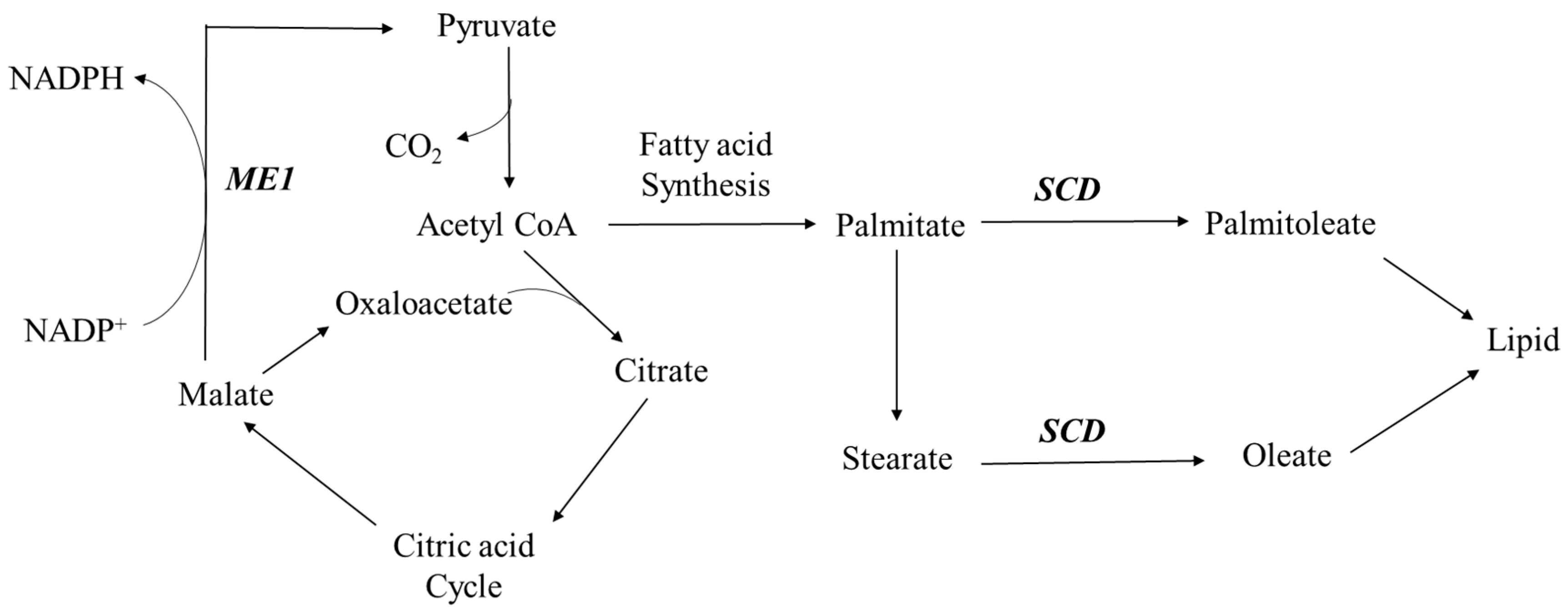 Ijms 18 00885 g007 550