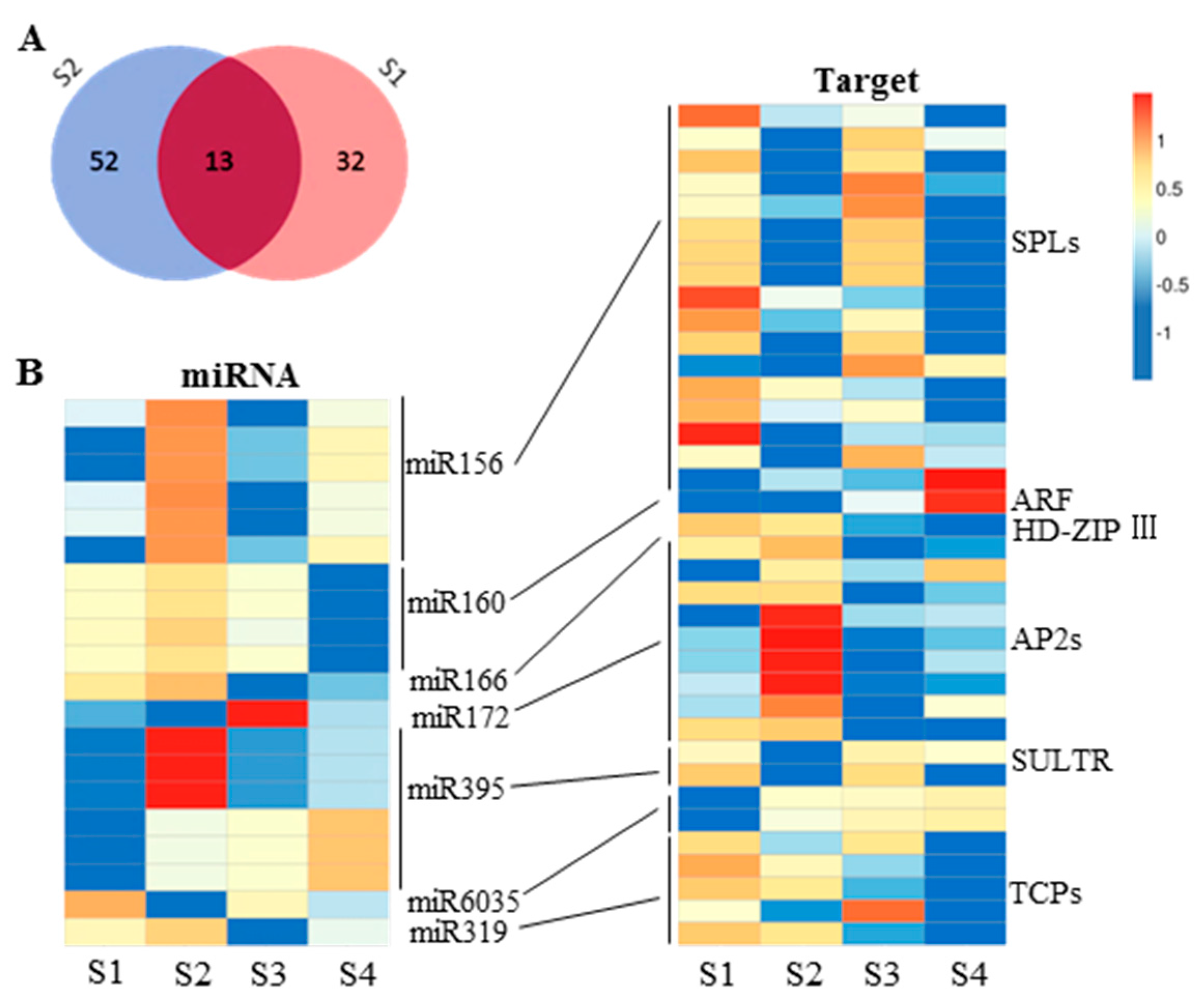 Ijms 18 00887 g007 550