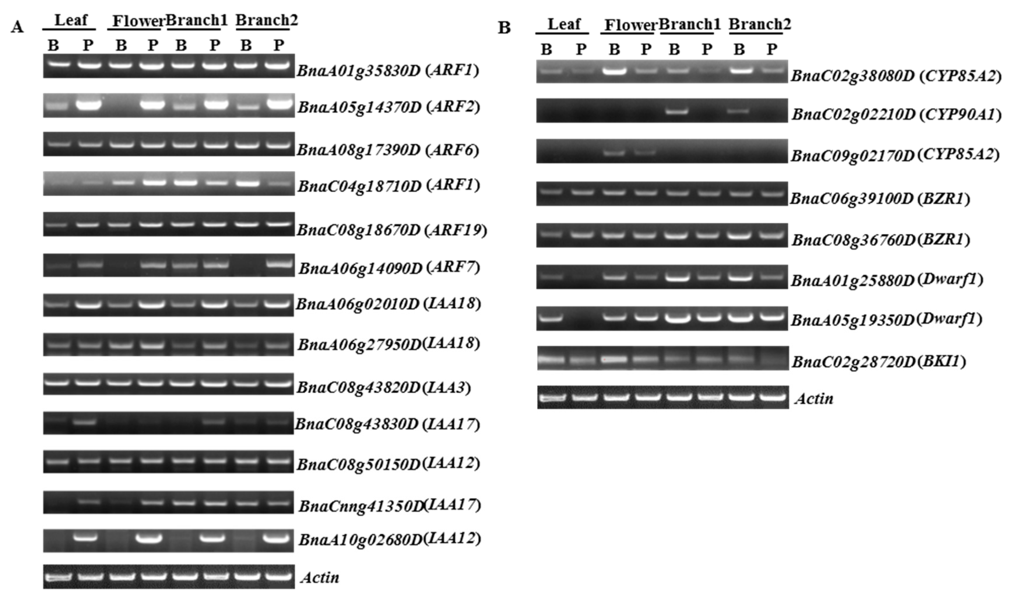 Ijms 18 00887 g008 550