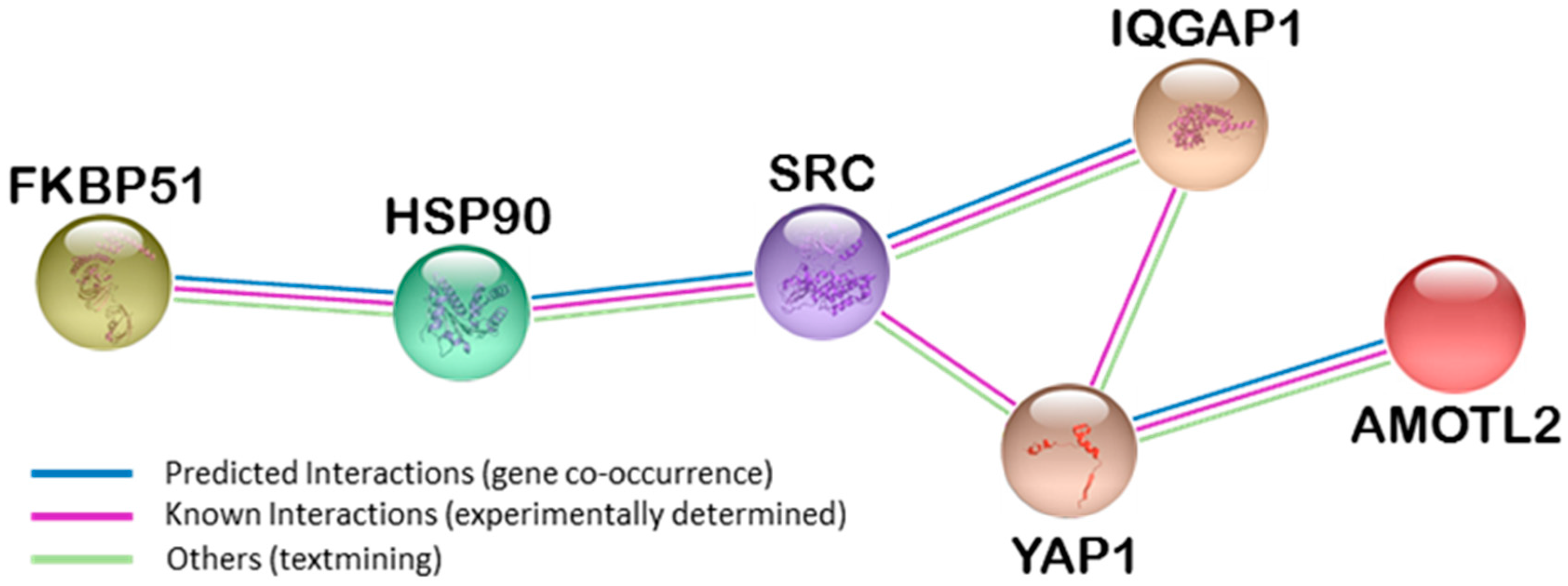 Ijms 18 00891 g001 550