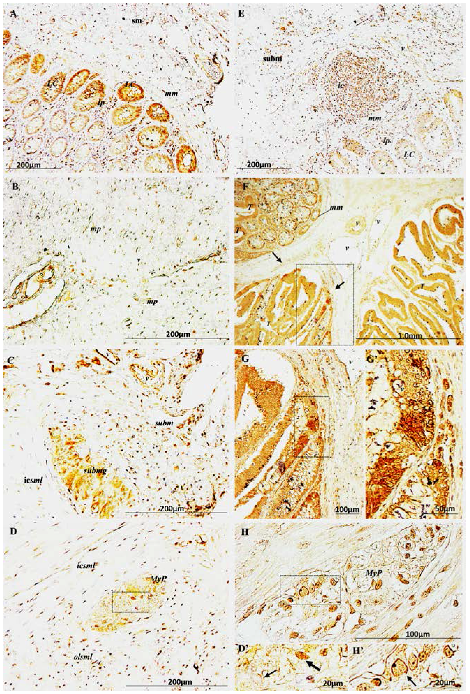 Ijms 18 00891 g002 550