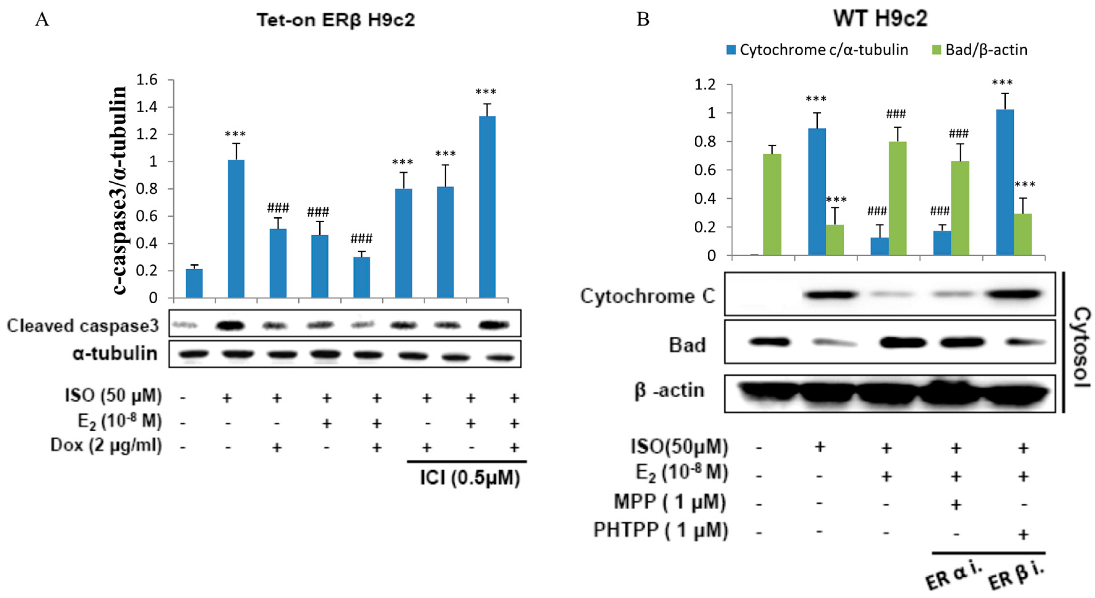 Ijms 18 00892 g002 550