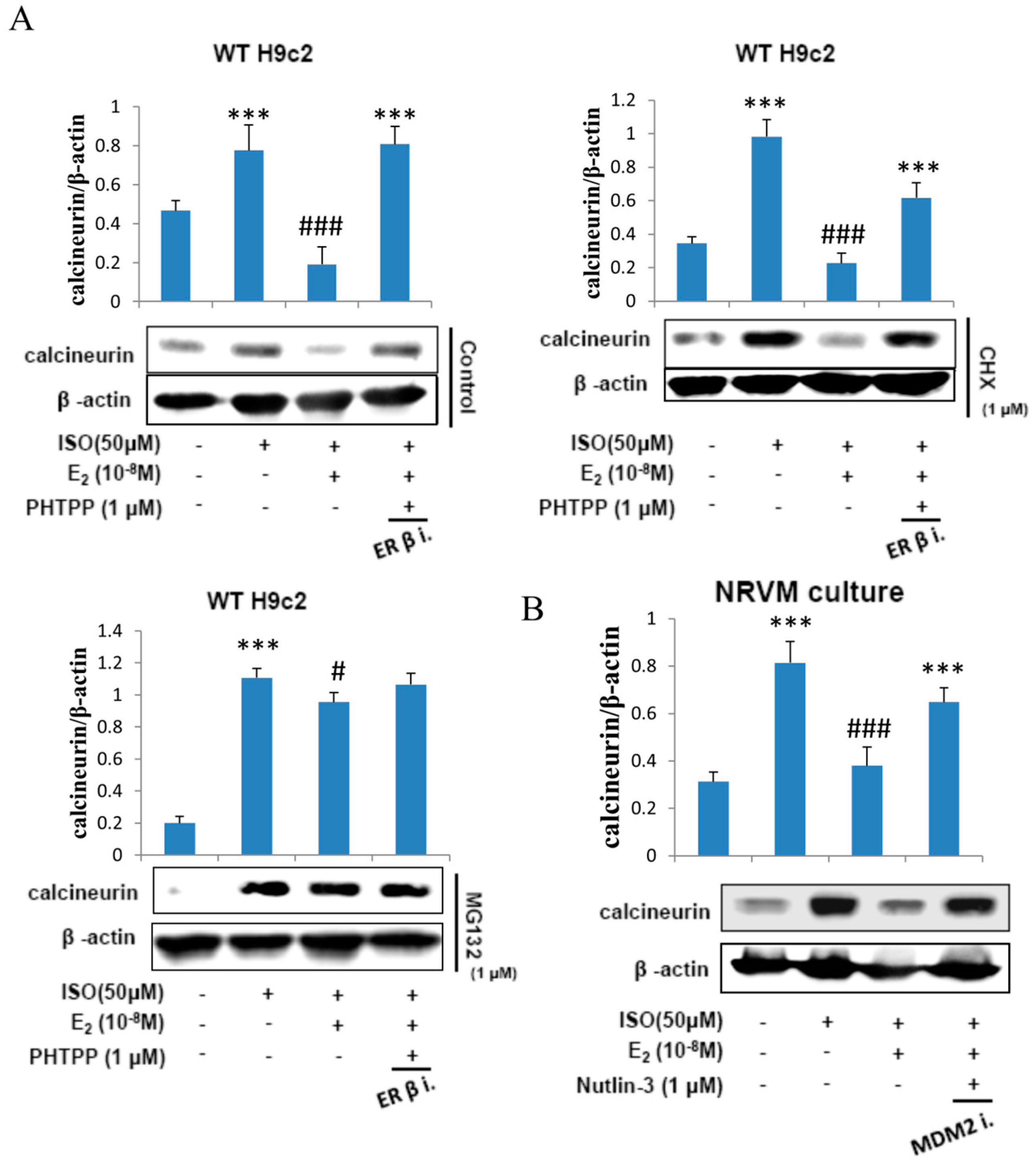 Ijms 18 00892 g005 550