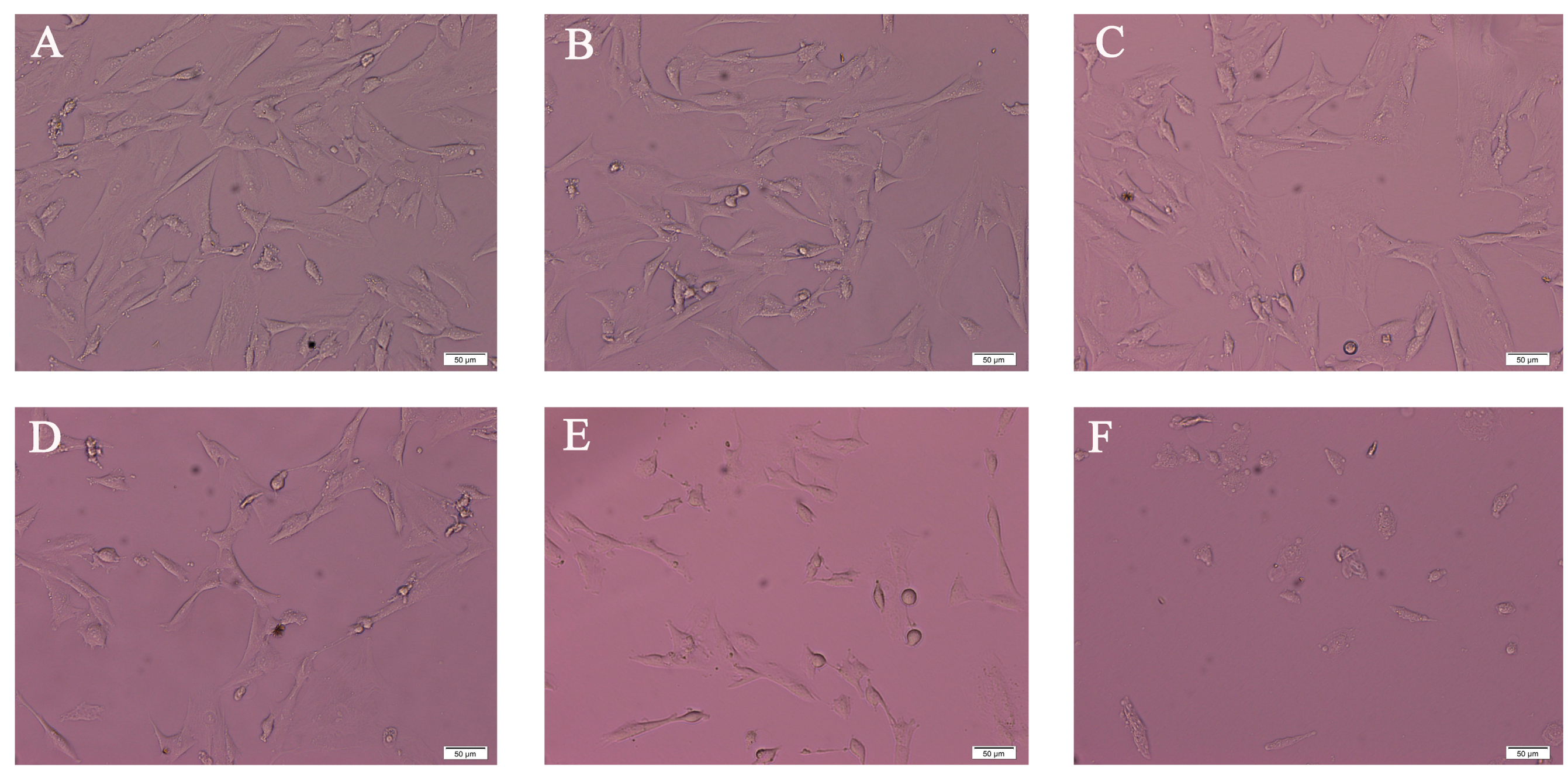 Ijms 18 00893 g001 550