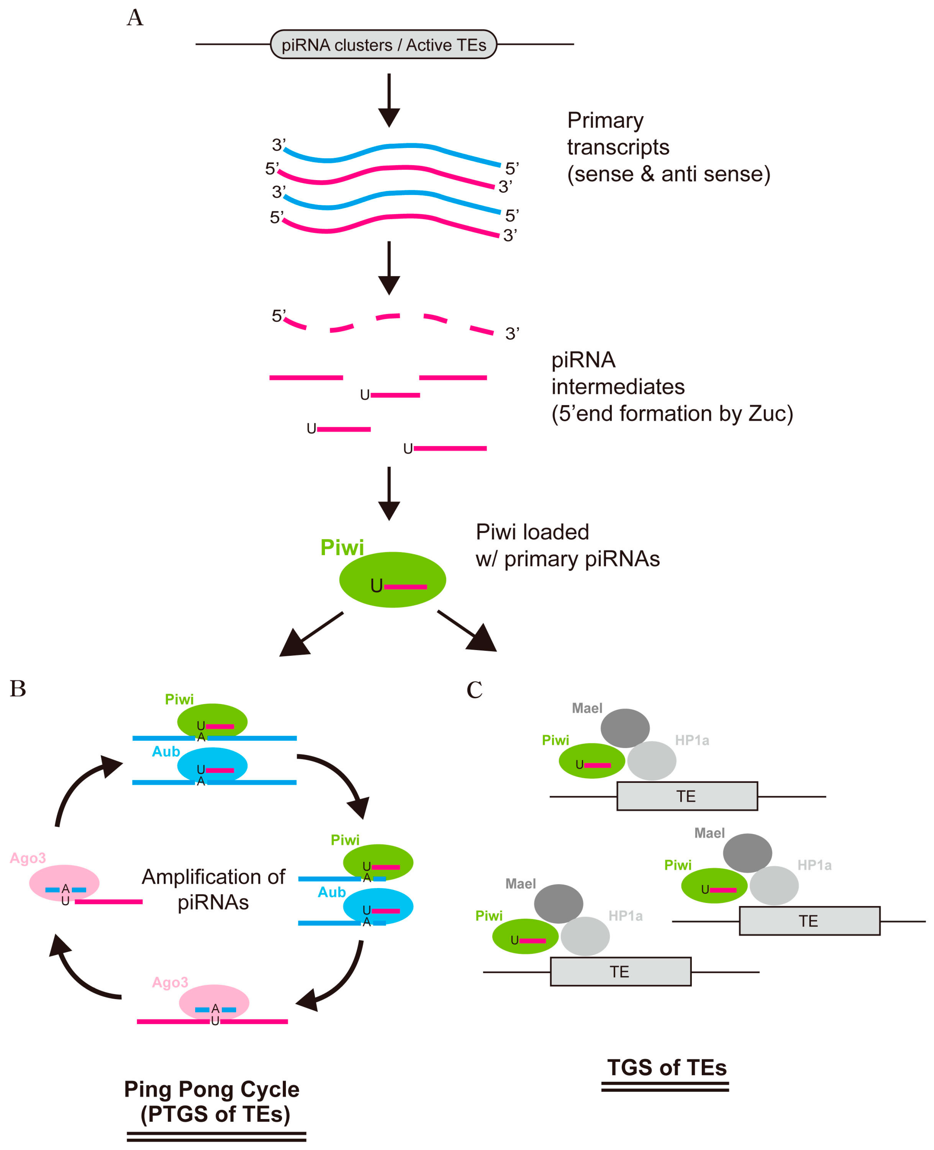 Ijms 18 00912 g002 550
