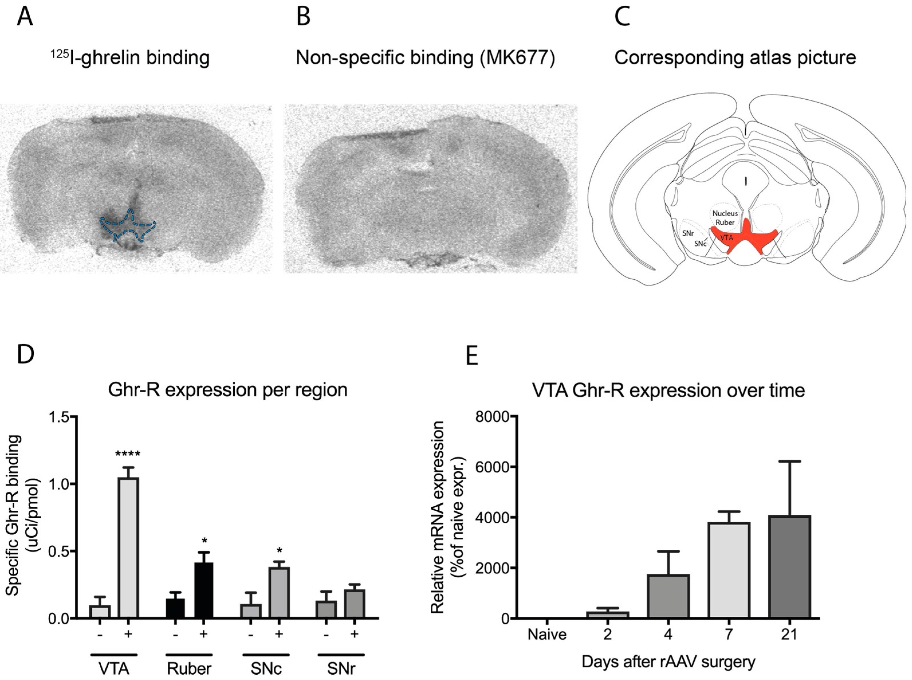 Ijms 18 00914 g001 550