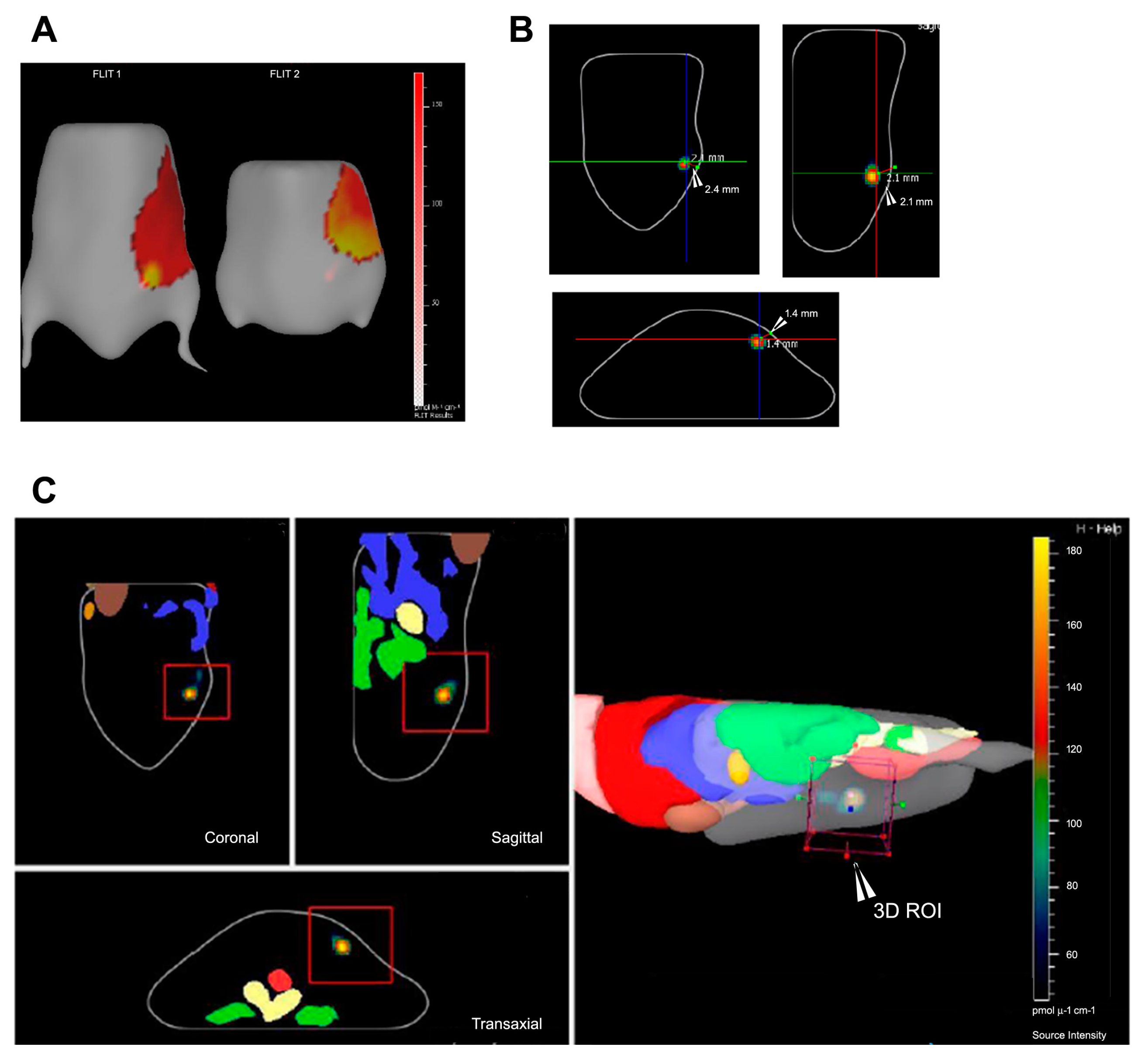 Ijms 18 00924 g004 550