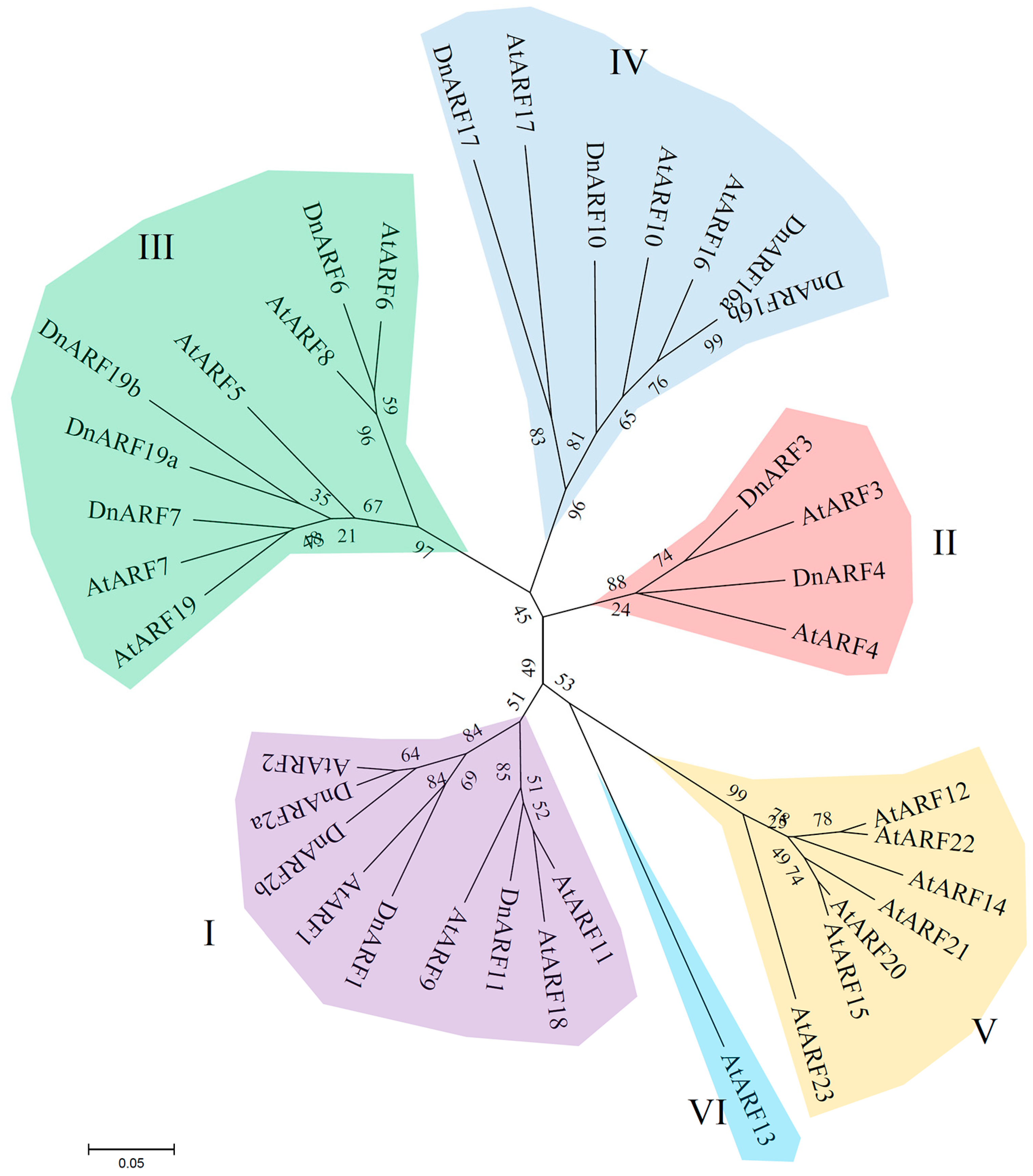 Ijms 18 00927 g001 550