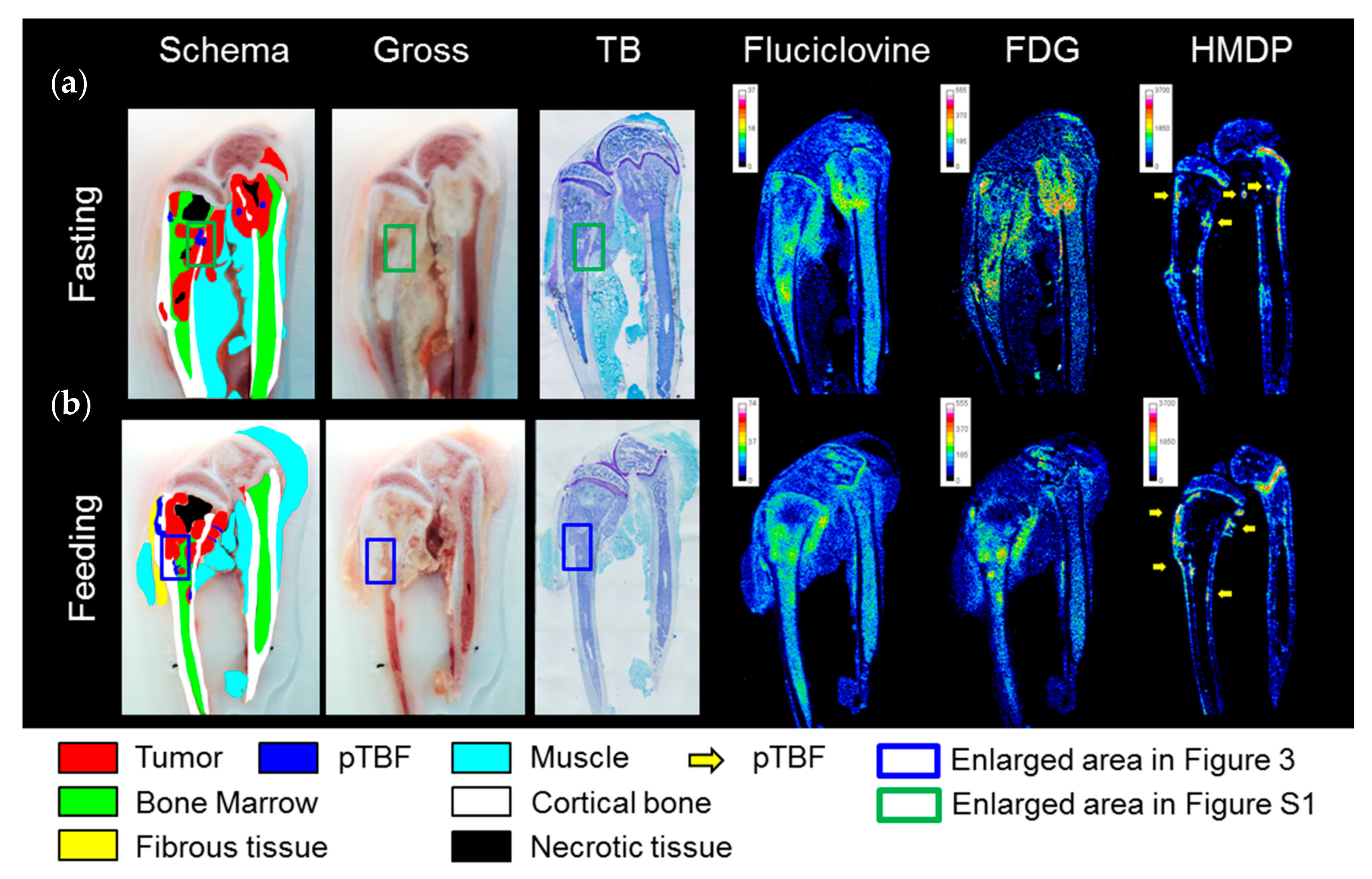 Ijms 18 00934 g002 550