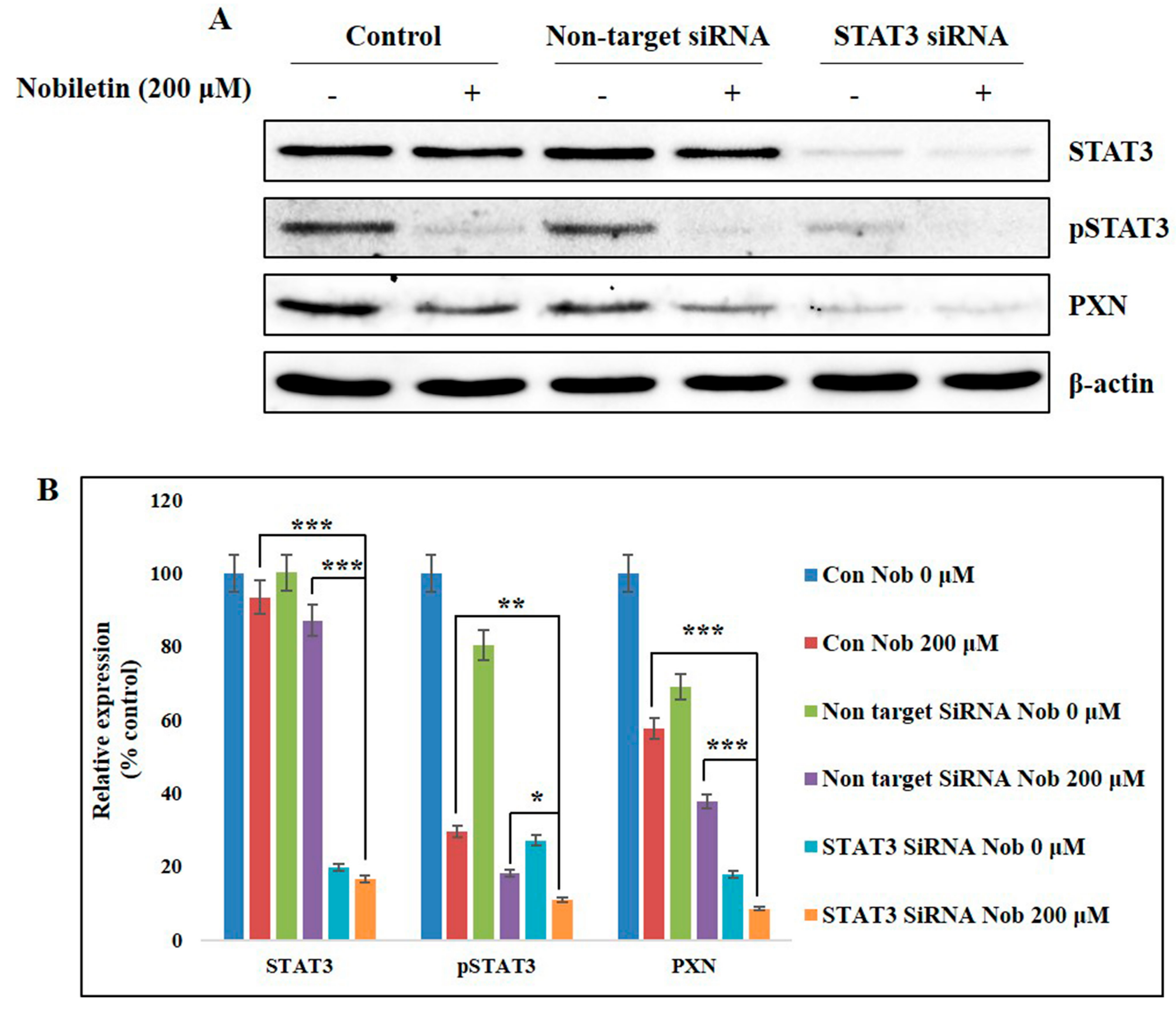 Ijms 18 00935 g005 550