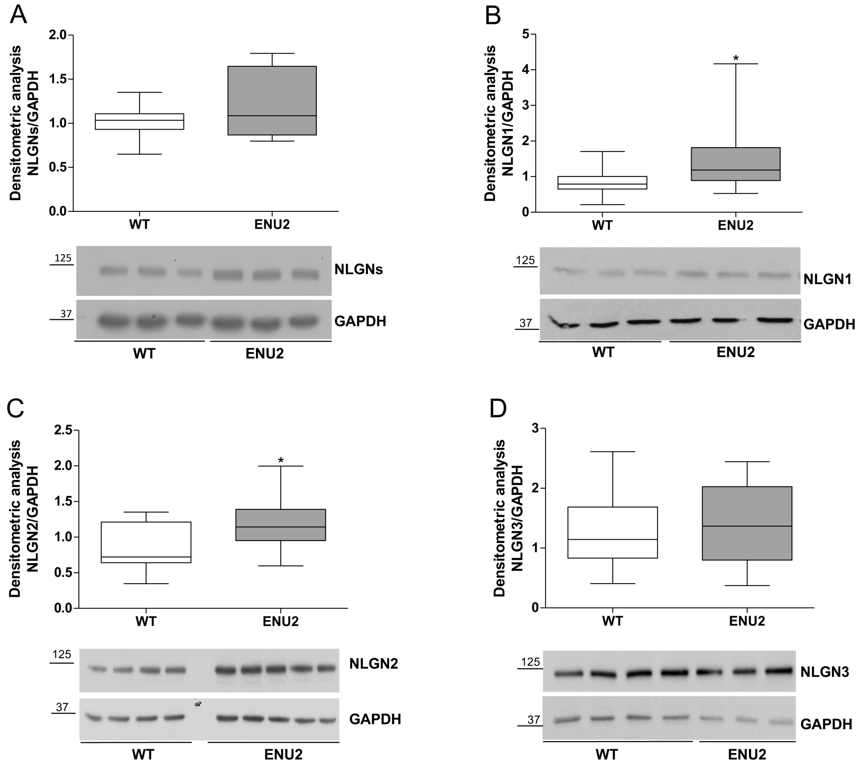 Ijms 18 00941 g002 550
