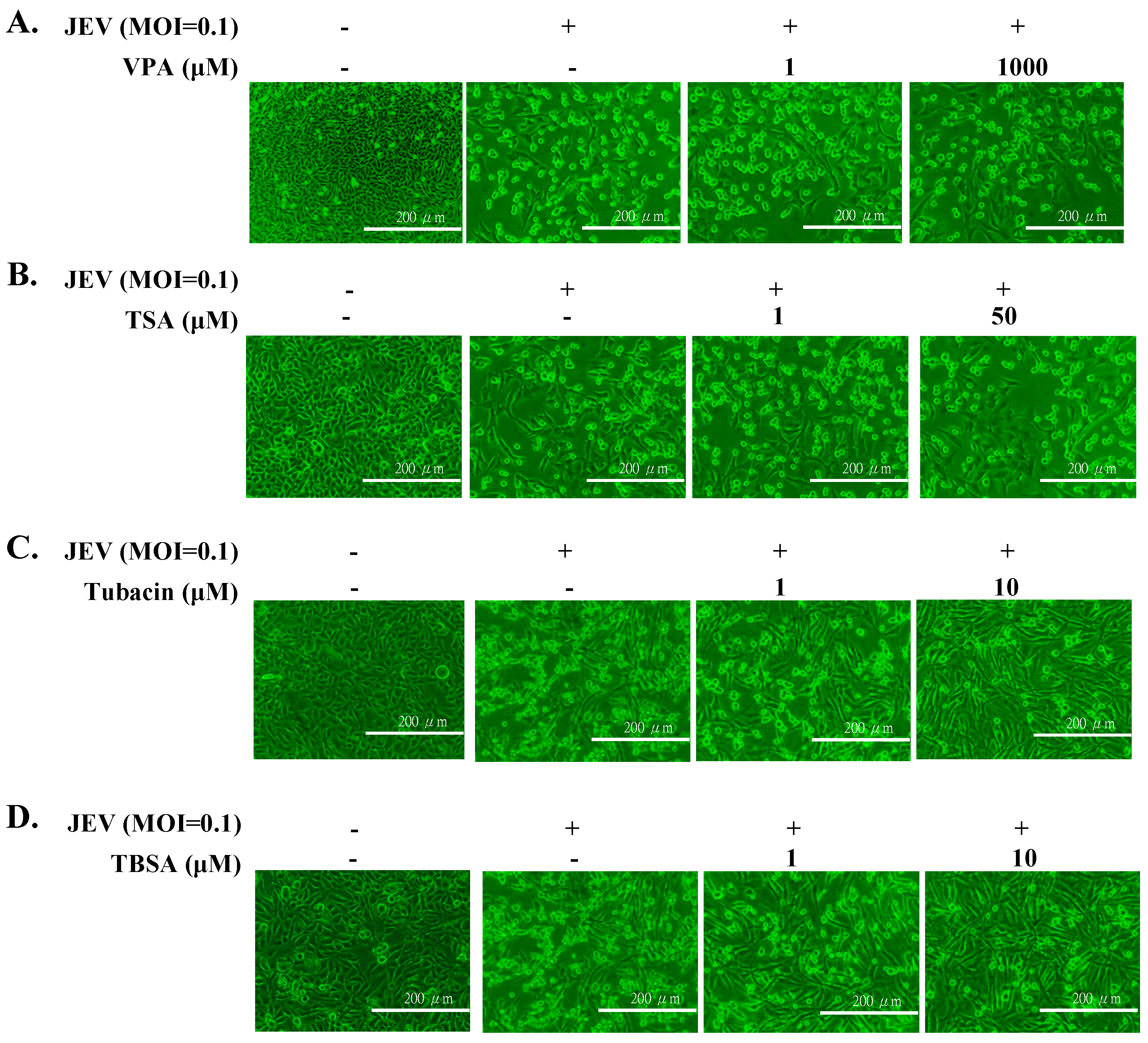 Ijms 18 00954 g001 550