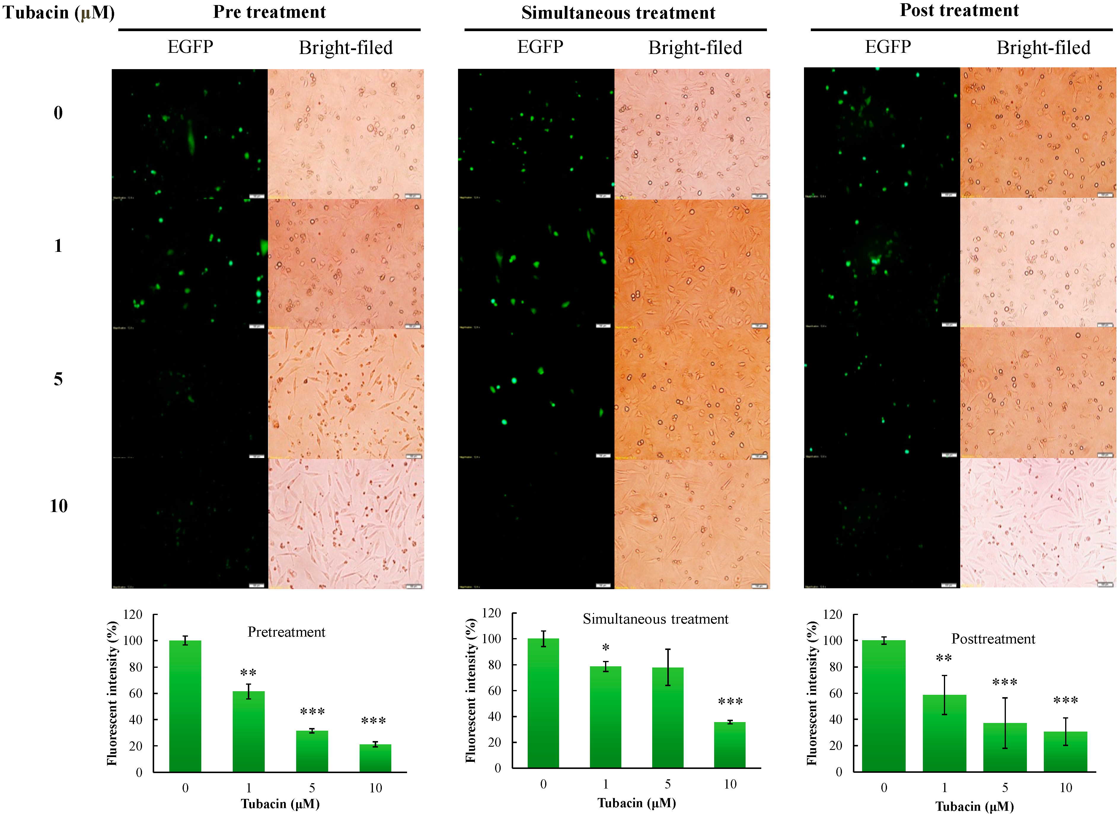 Ijms 18 00954 g005 550