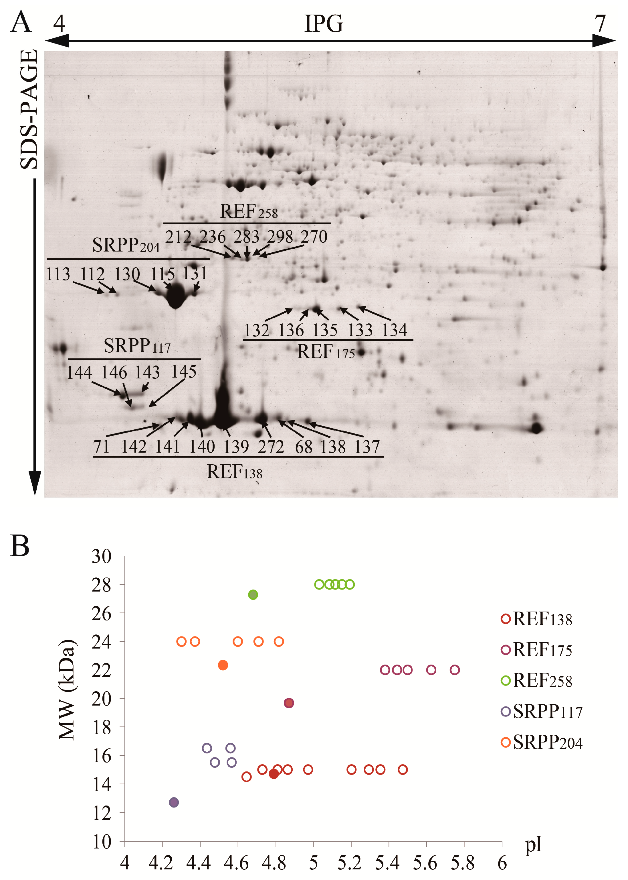 Ijms 18 00958 g005 550