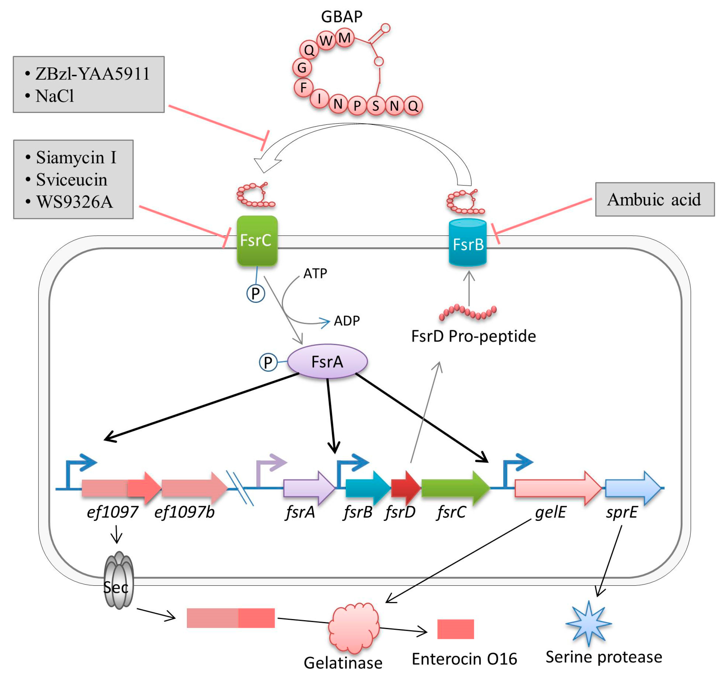Ijms 18 00960 g001 550