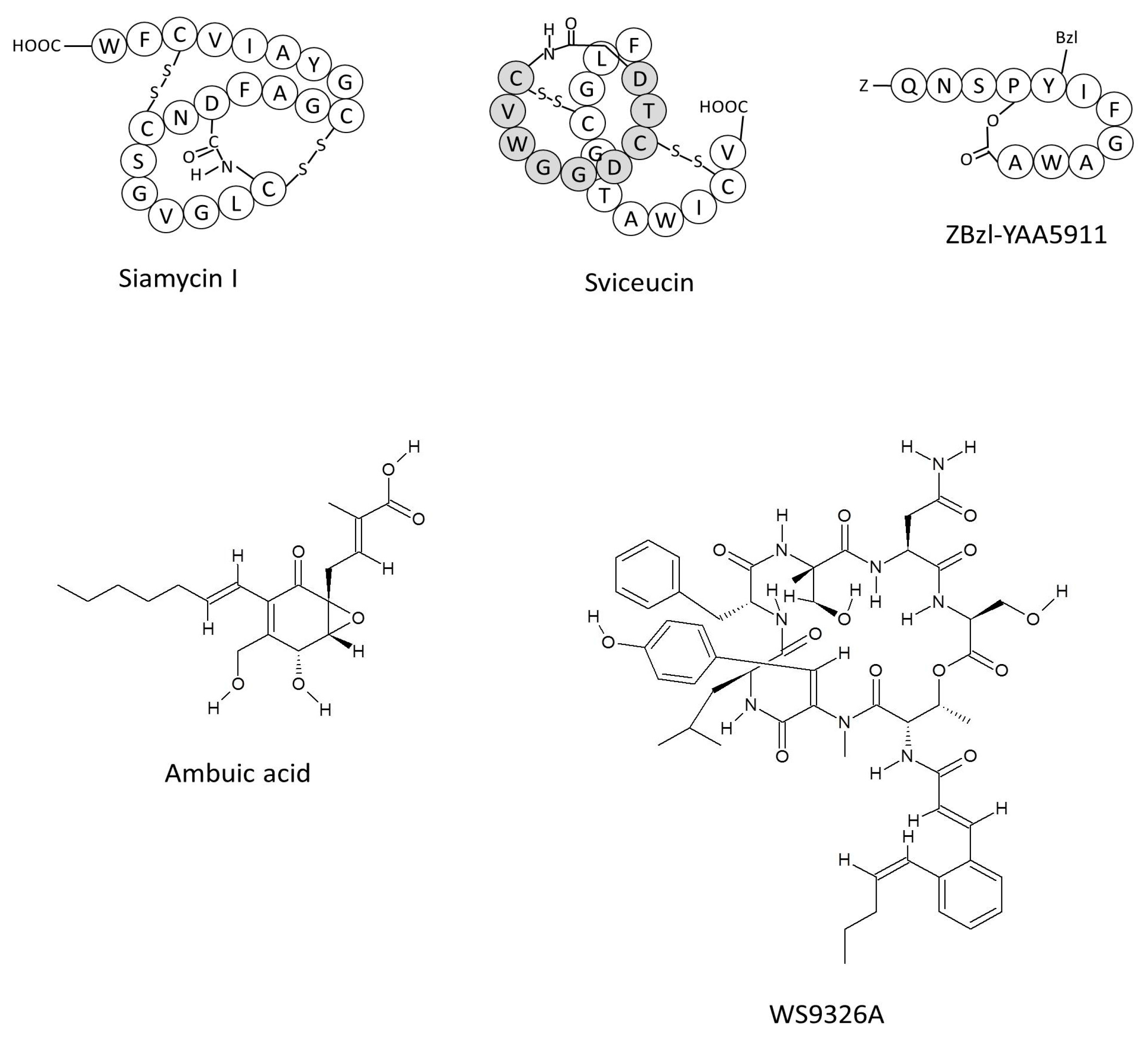 Ijms 18 00960 g003 550