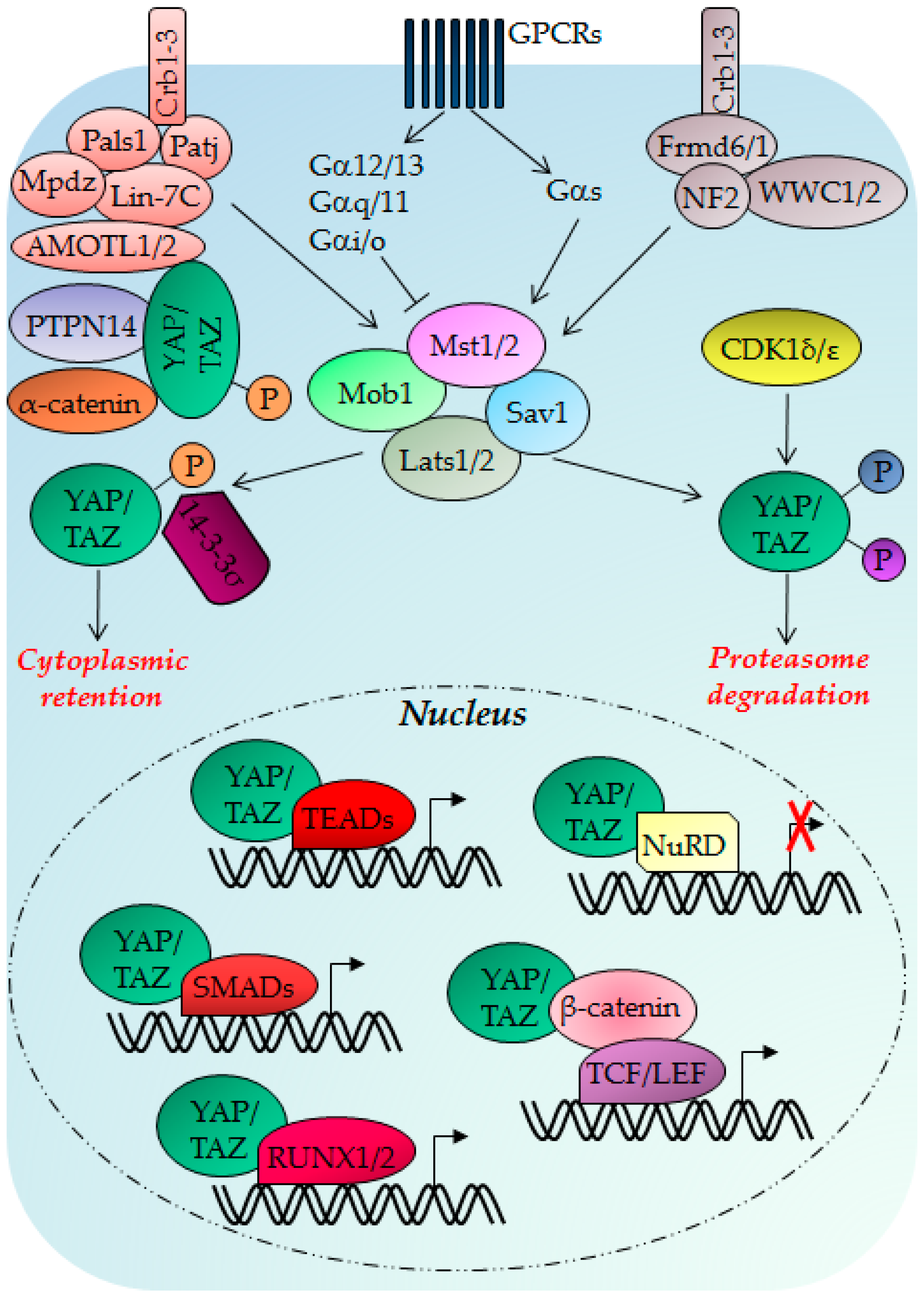 Ijms 18 00961 g001 550